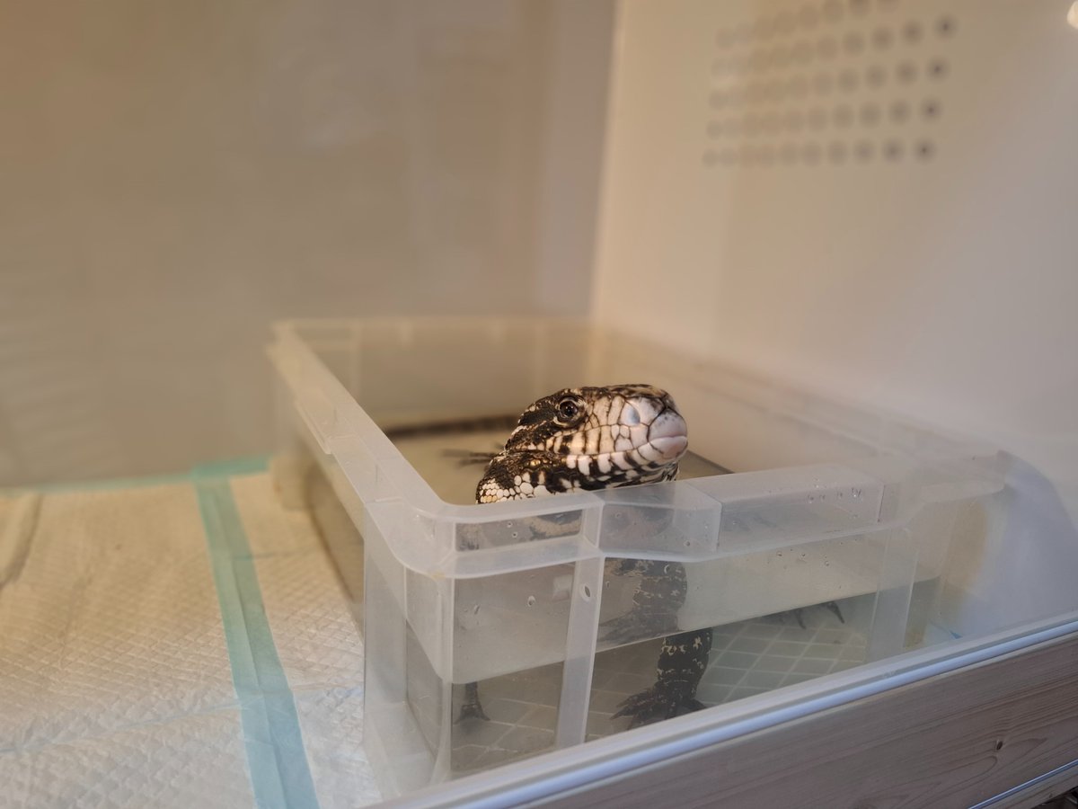 たけひろ 1104545アルミ複合板ケージ たけひろ 1104545アルミ複合板