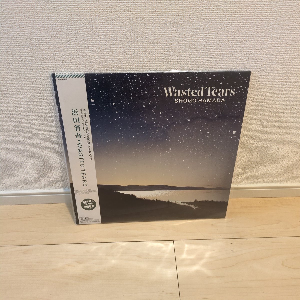 浜田省吾 サイン色紙 浜田省吾サイン色紙セット 浜田省吾サイン色紙