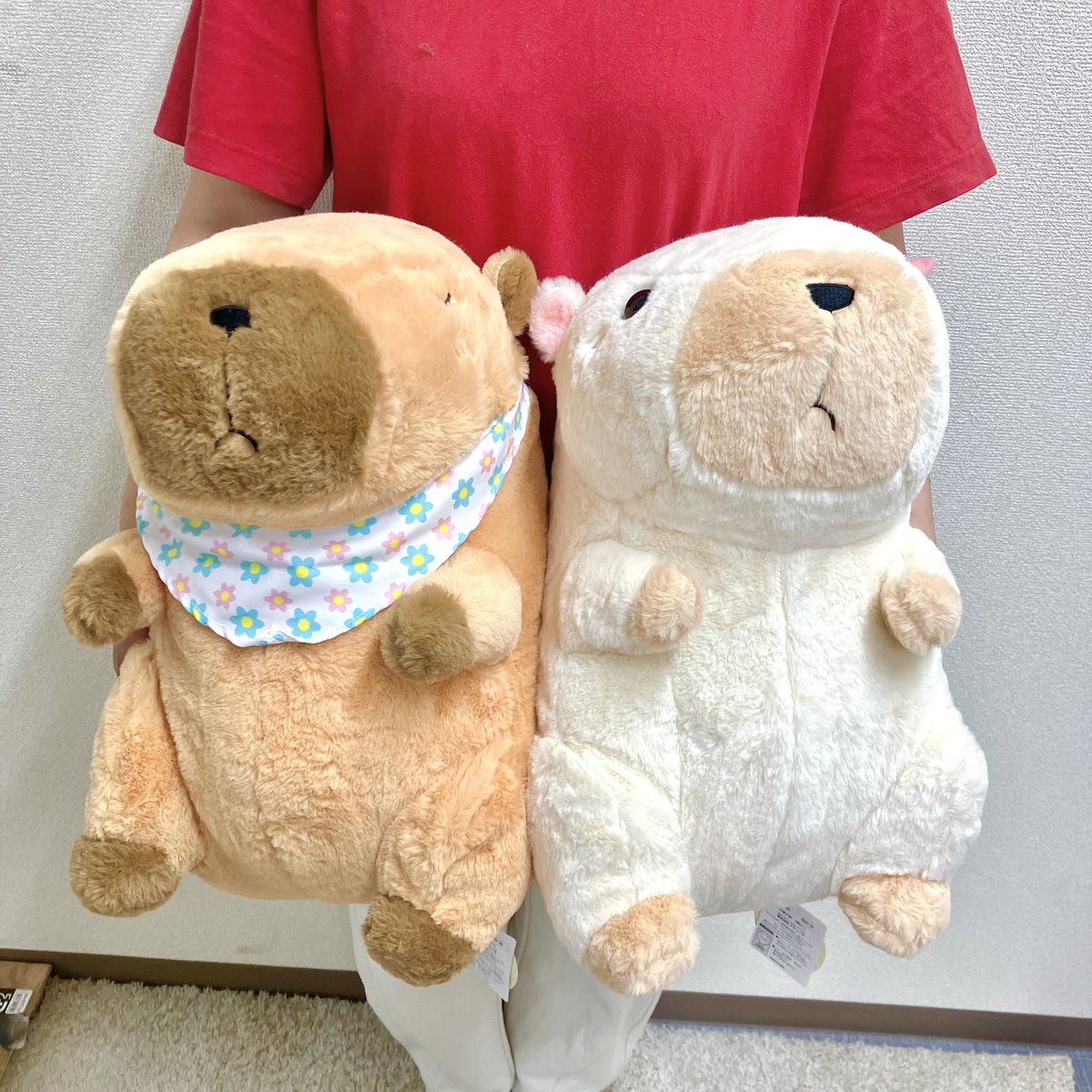 ❣今日の新景品❣ 『しあわせハピバラちゃんウルトラBIGぬいぐるみ』が