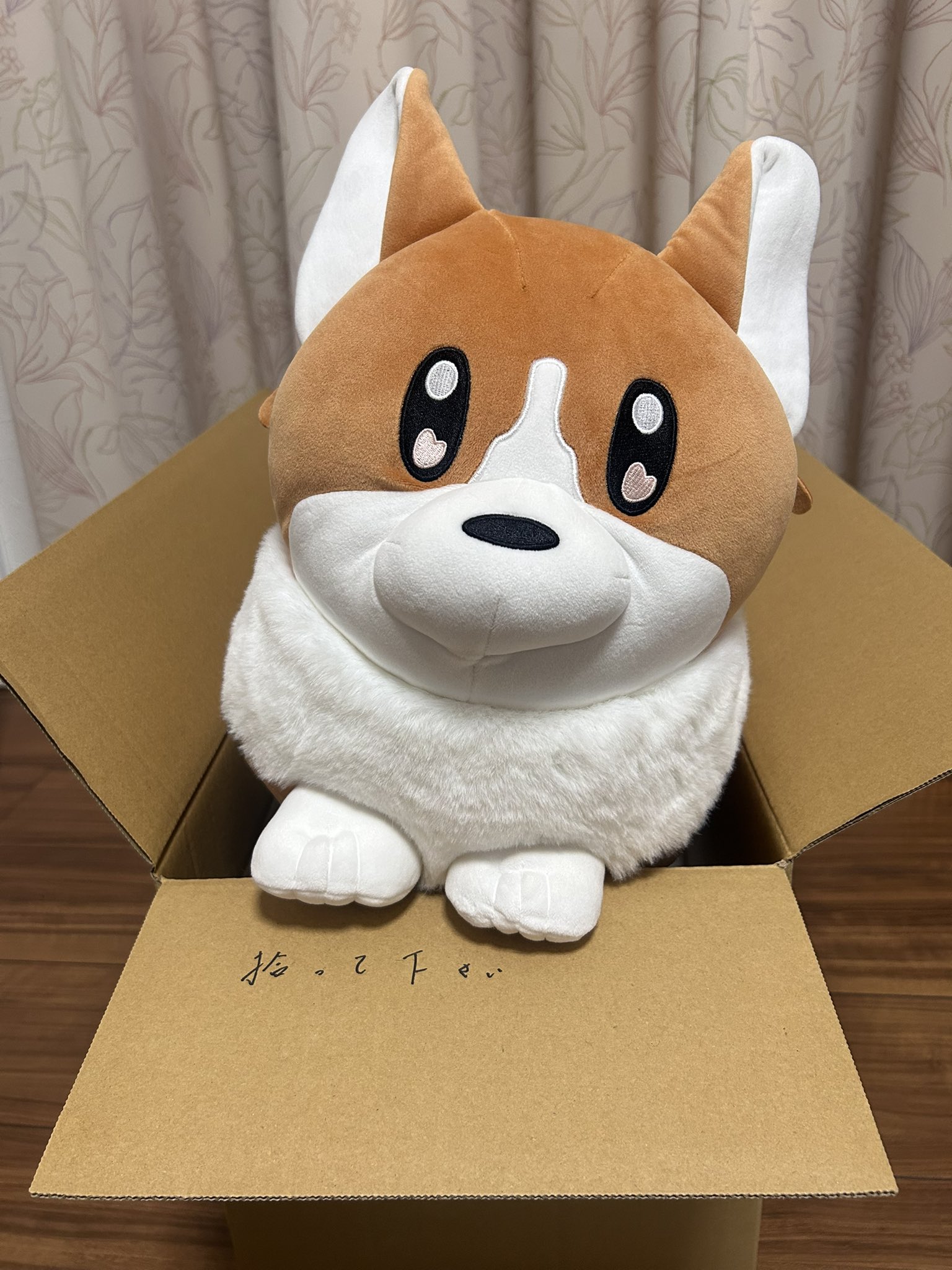 ヨルシカ suisデザイン コーギーぬいぐるみ 完全受注生産 前世 live