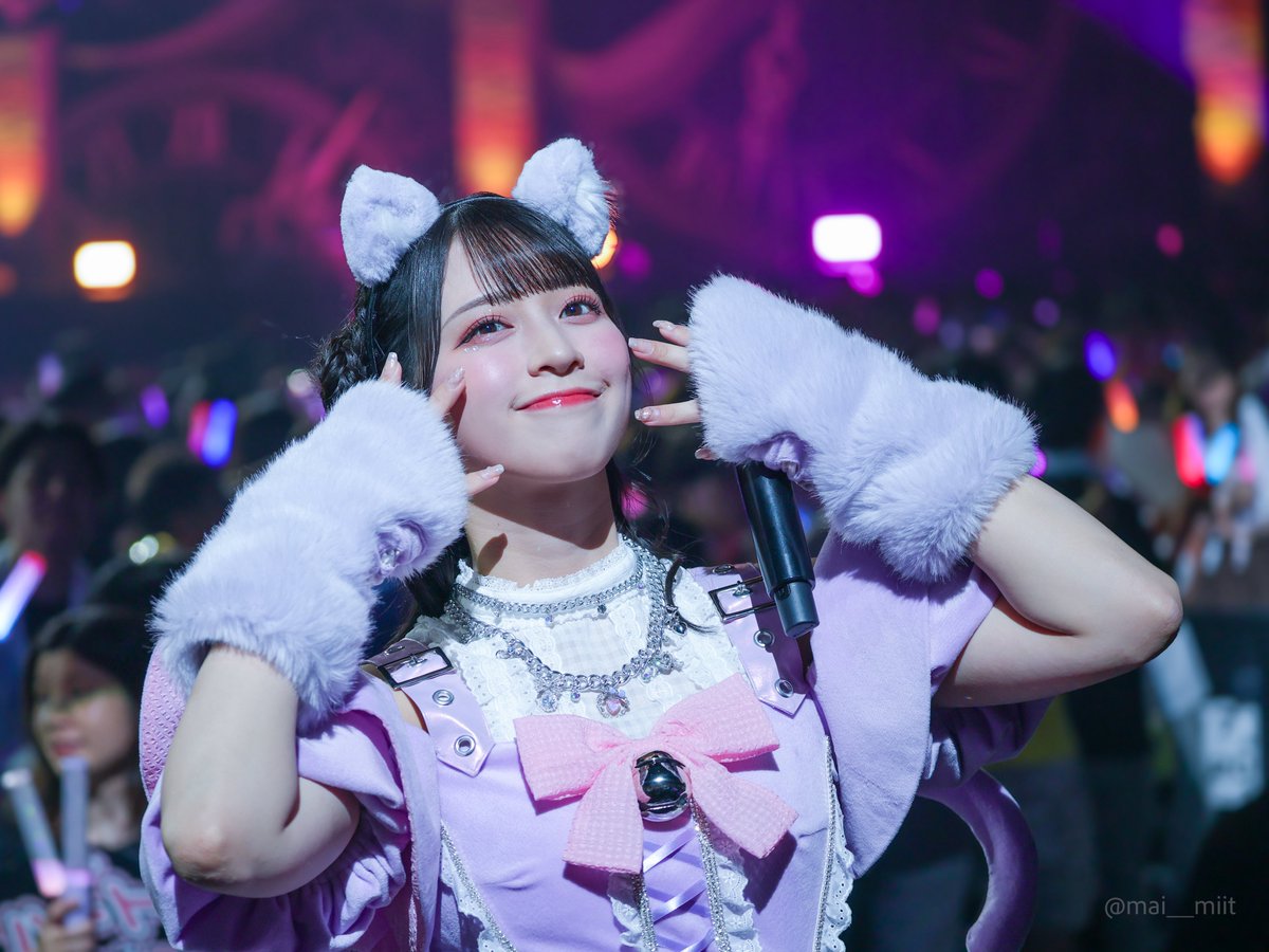 イコラブ イコールラブ 佐々木舞香 猫 7周年 封入 直筆 LOVE 佐々木