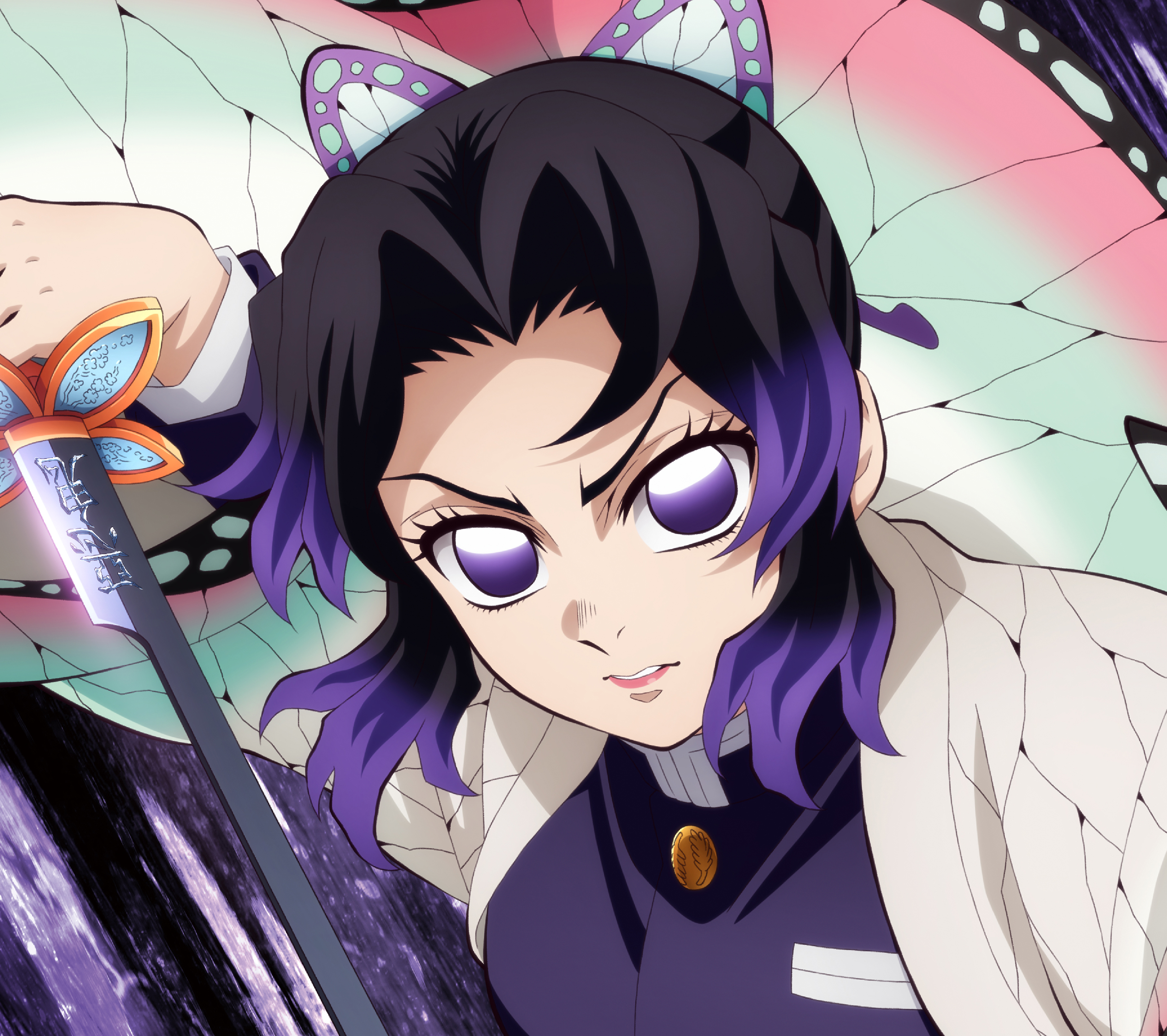 胡蝶しのぶ 3点セット】 劇場版 鬼滅の刃 無限城編 描き下ろし