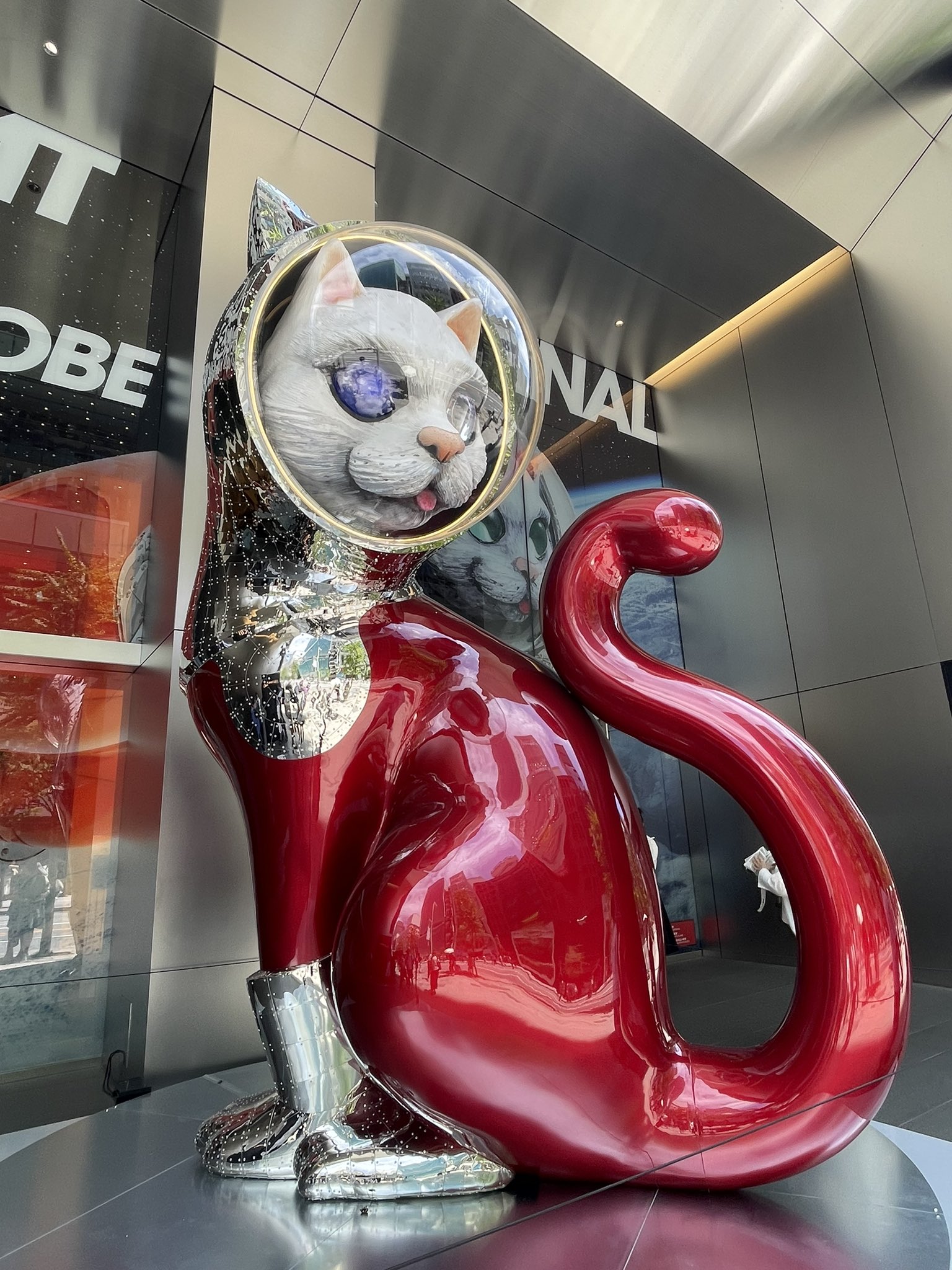 シップスキャット 宇宙猫 コスモレッドカラー 限定 サイン入り