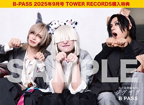 ビーアワーゲスト パズル 未開封 ビーアワーゲスト パズル 未開封 箱