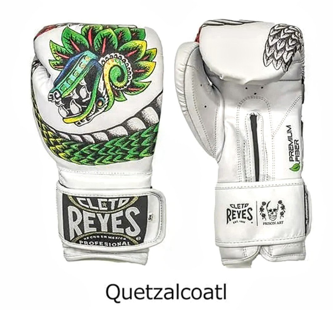 レイジェス(reyes) ボクシンググローブ【ベルクロ式】 12オンス