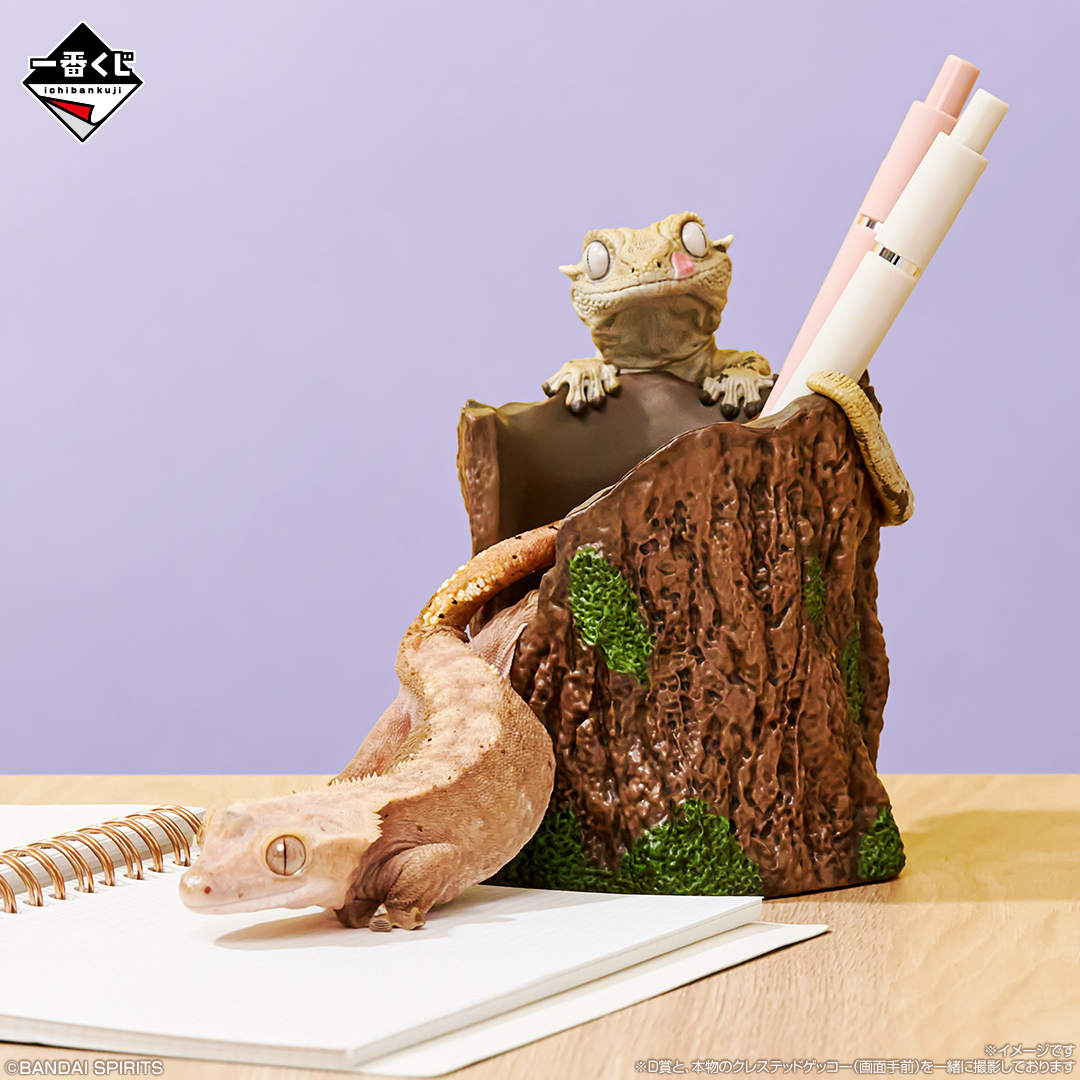 📣ついに本日7/25(金)より順次発売‼ 一番くじ 爬虫類＆両生類～Tiny