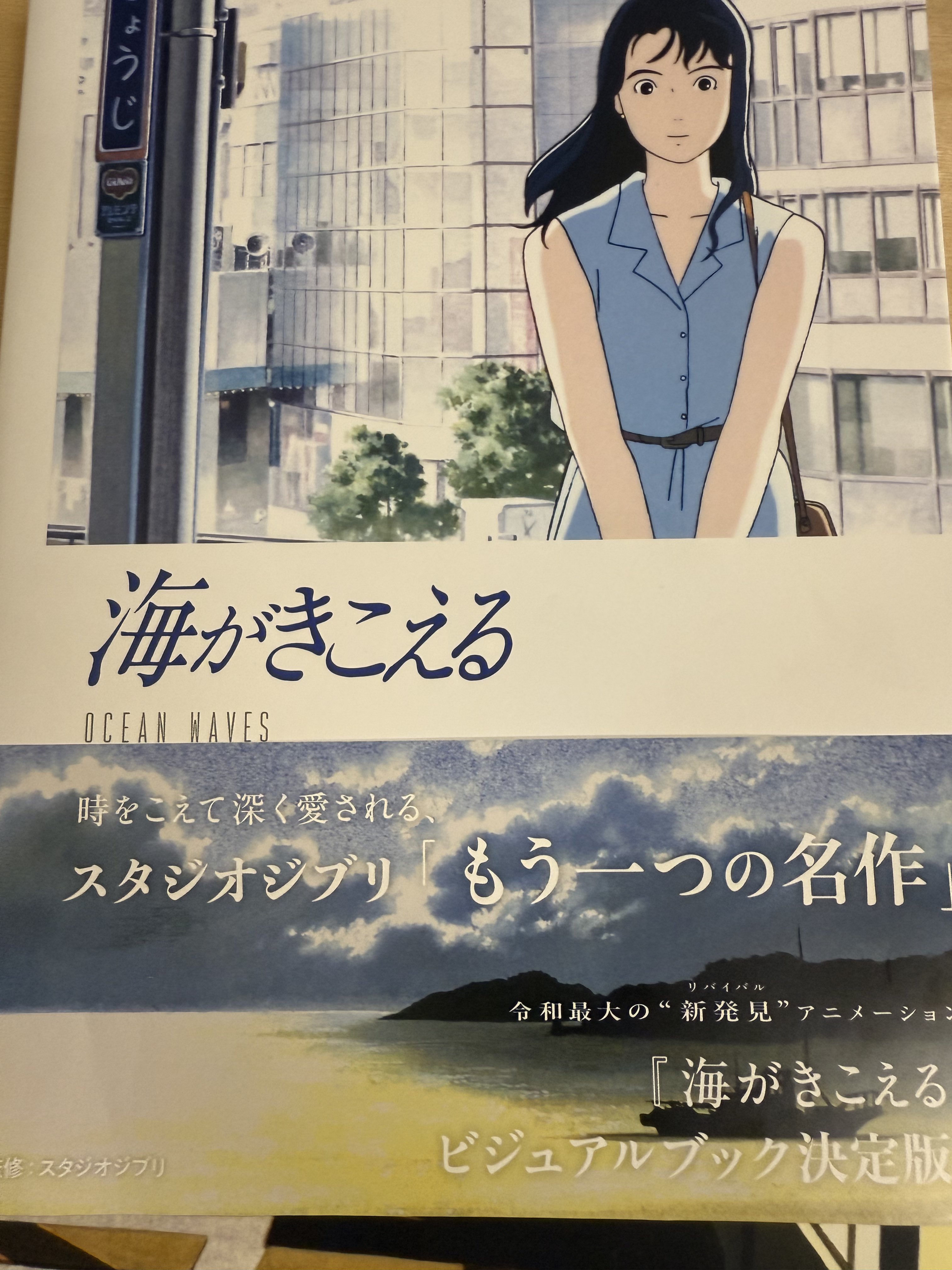 超絶レア！！】海がきこえる 氷室冴子 ポスター ジブリ 宮崎駿 B2