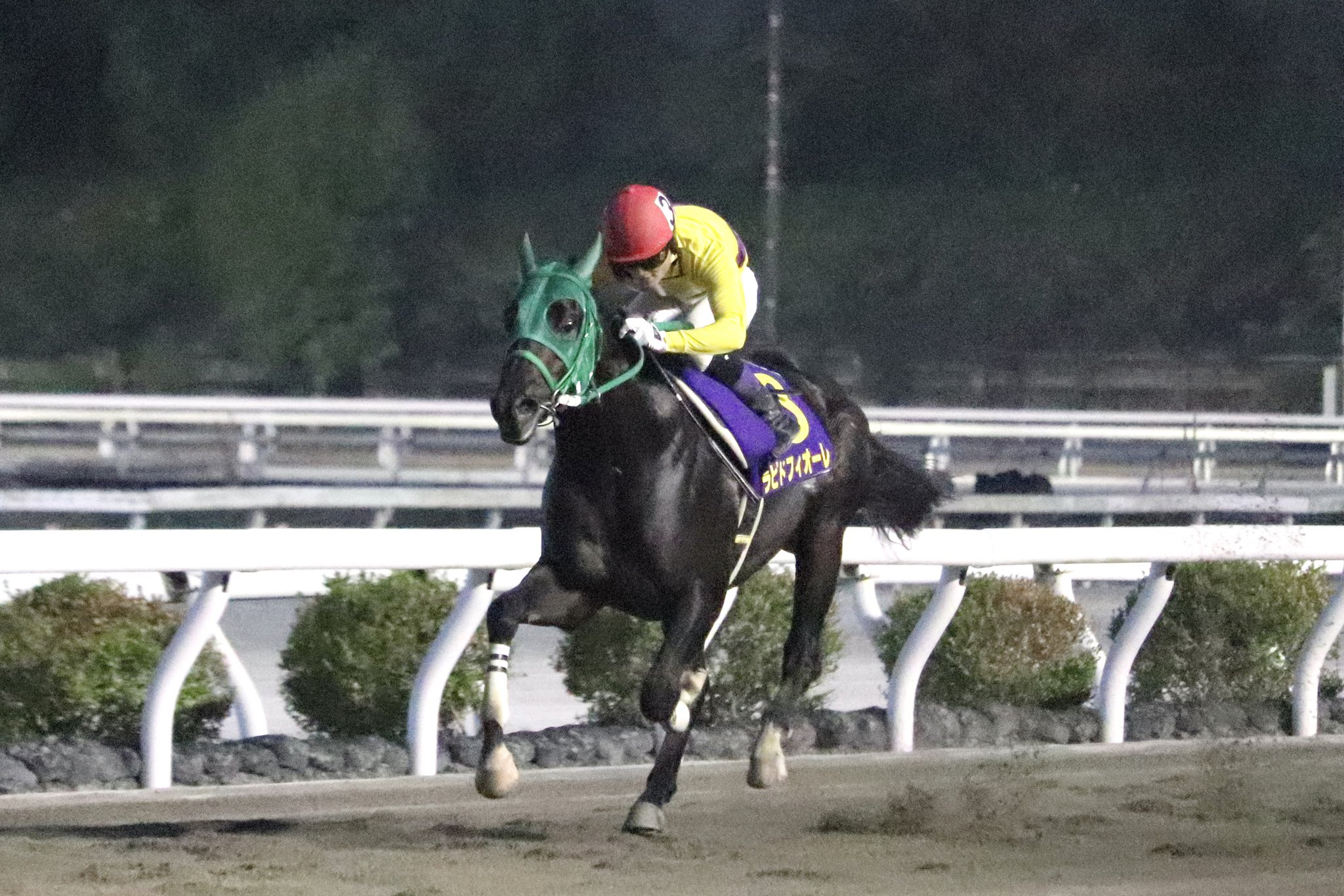 宇都宮競馬 JRA オンライン 中央競馬騎手招待競走 栃木県知事