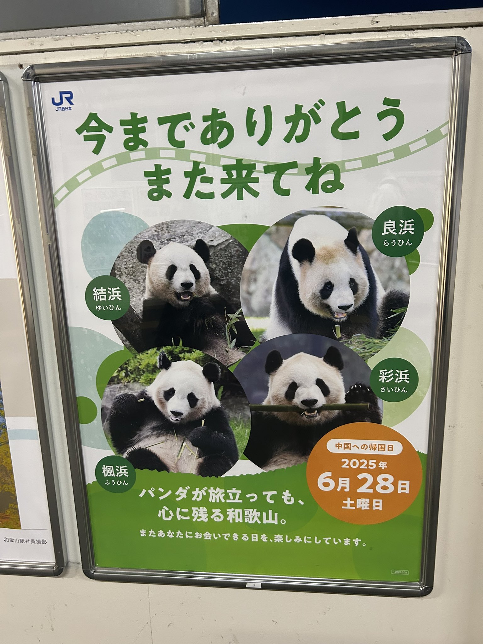 鑑定【PSA10】村上隆 もののけ京都 ふるさと納税 限定 ナースKo2 日本