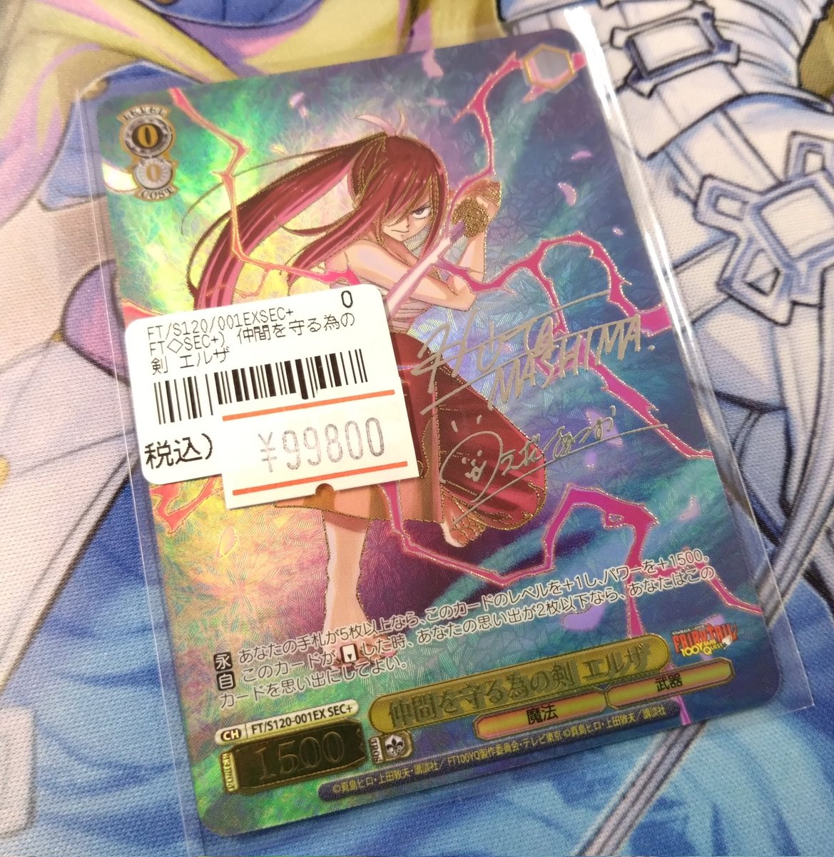 仲間を守る為の剣 エルザ SEC＋ ARS10＋ 100年クエスト ヴァイス