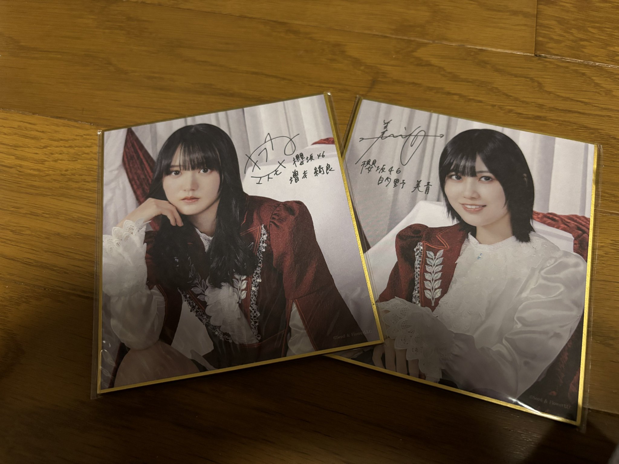 櫻坂46 的野美青 4thアニラ 直筆サイン 生写真 櫻坂46