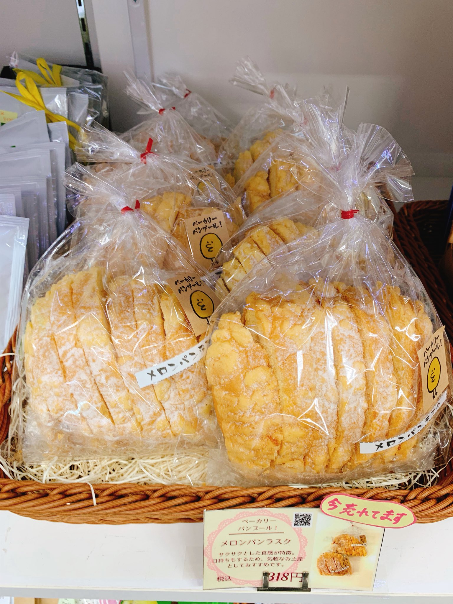 ドラミン】棚キノコ 付コルクシェルターM ③④ 棚キノコ 付コルク