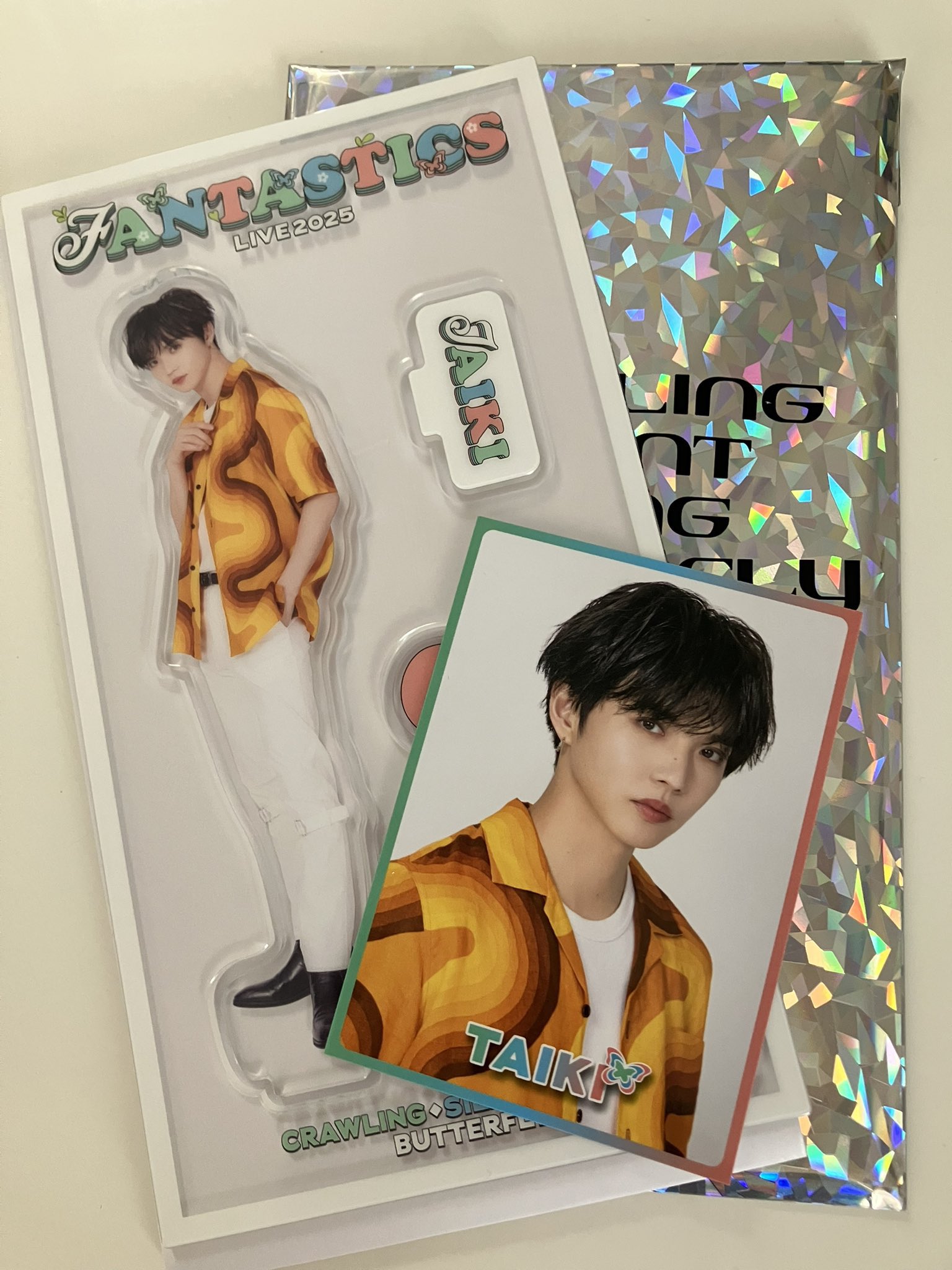 BUTTERFLY EFFECT 八木勇征 クッション FANTASTICS FANTASTICS