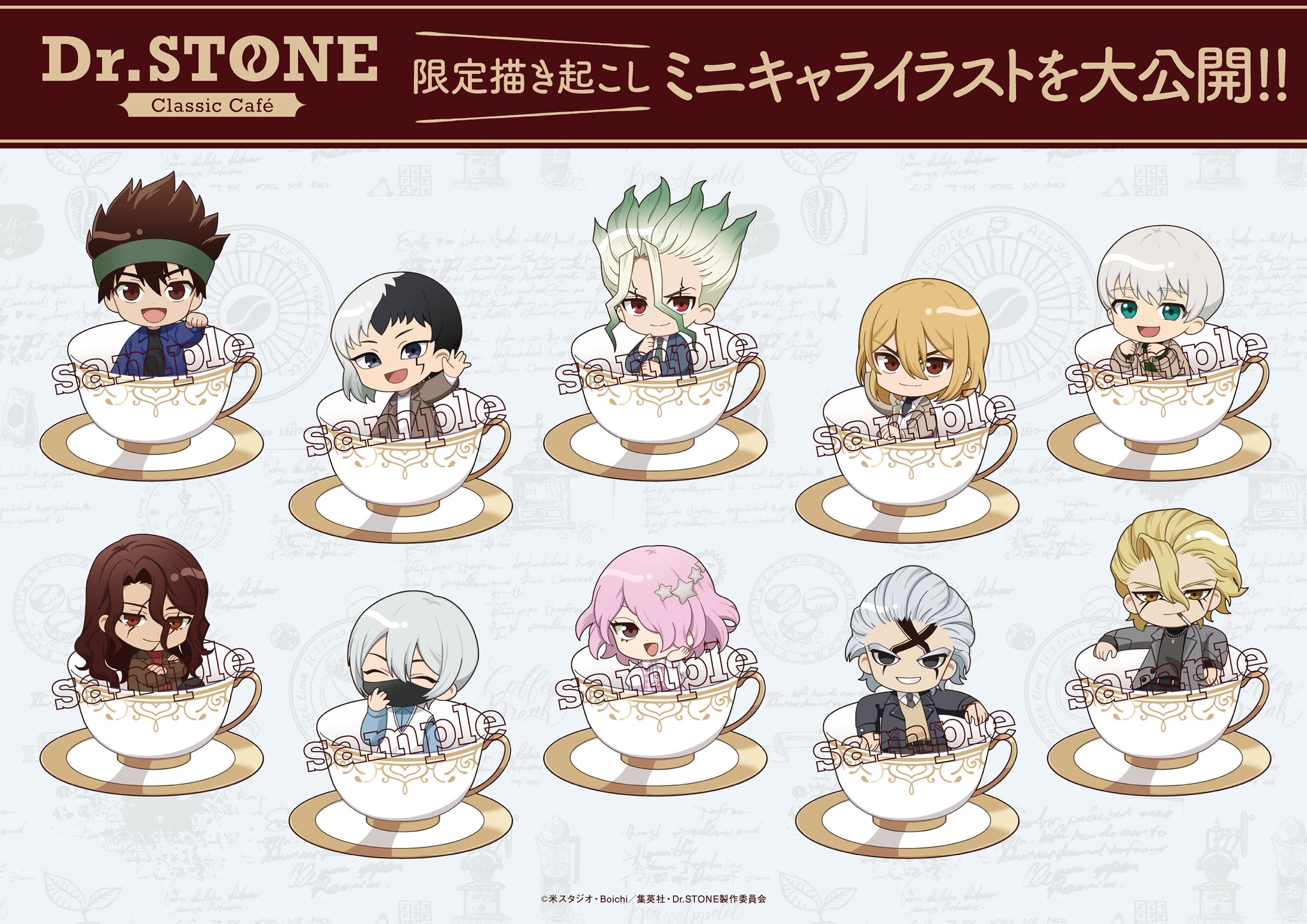 ドクターストーン アモカフェ AMOCafe 典 スタンリー ゼノ AMO CAFE