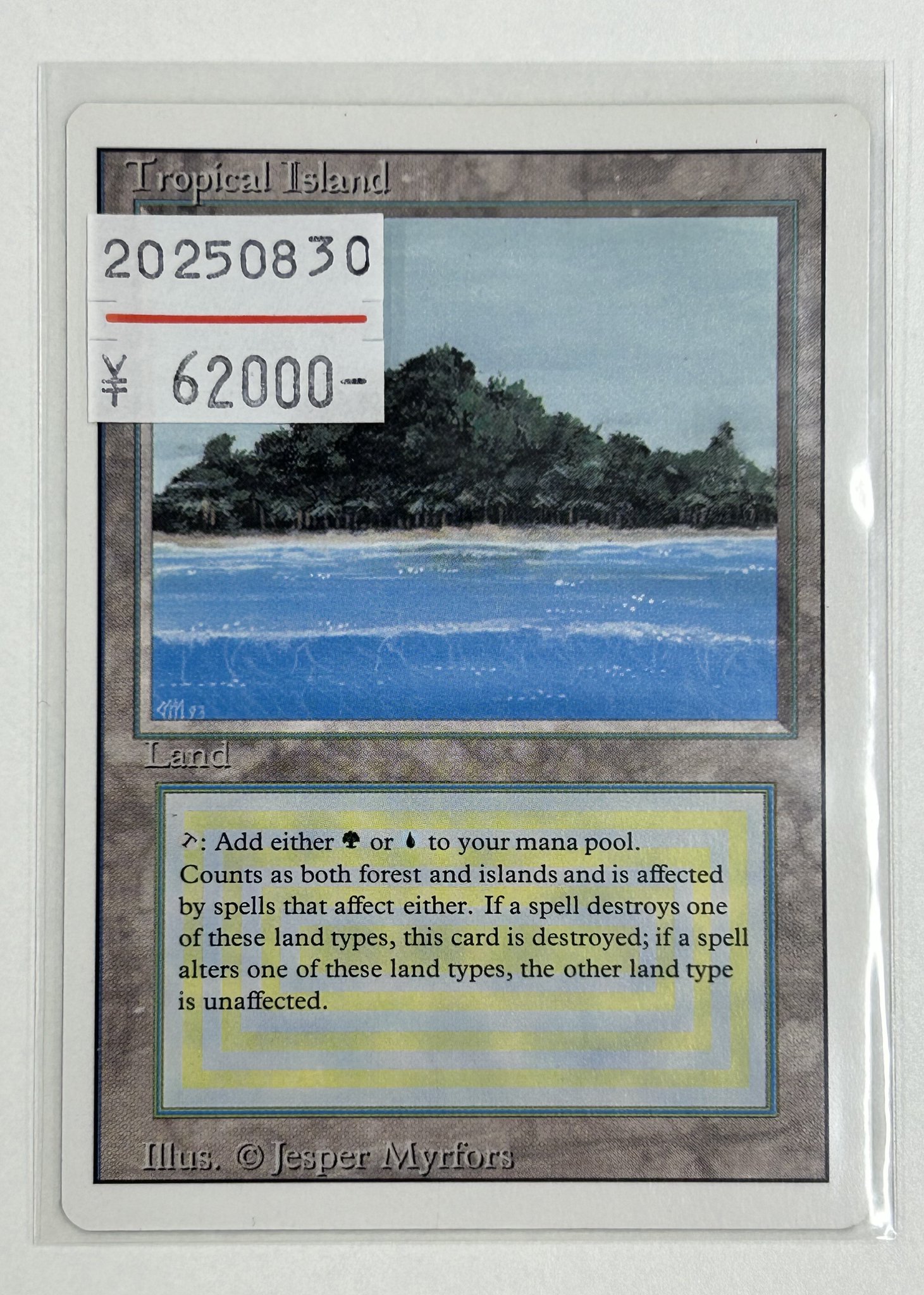 マジック：ザ・ギャザリング MTG Tropical Tropical Island | 3rd