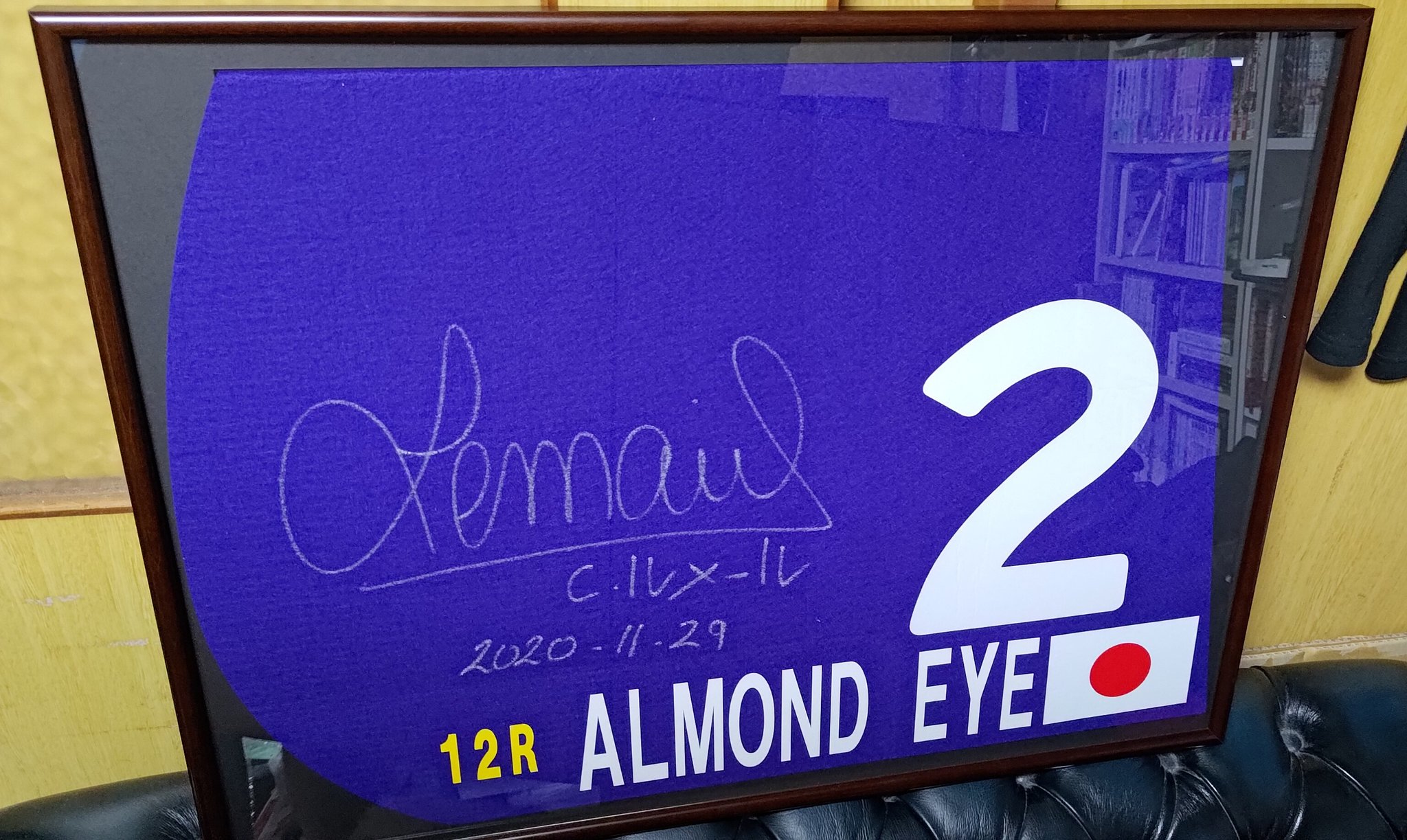 アーモンドアイ ジャパンカップ ルメール騎手直筆サイン入りミニ