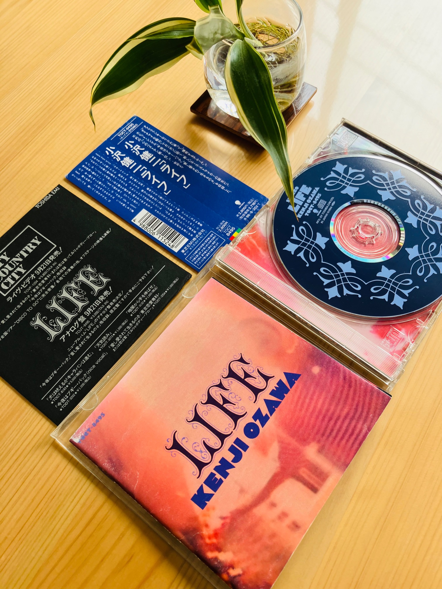 小沢健二『メモラビリア 8月31日記憶装置』LIFE 武道館 OZKN 小沢健二