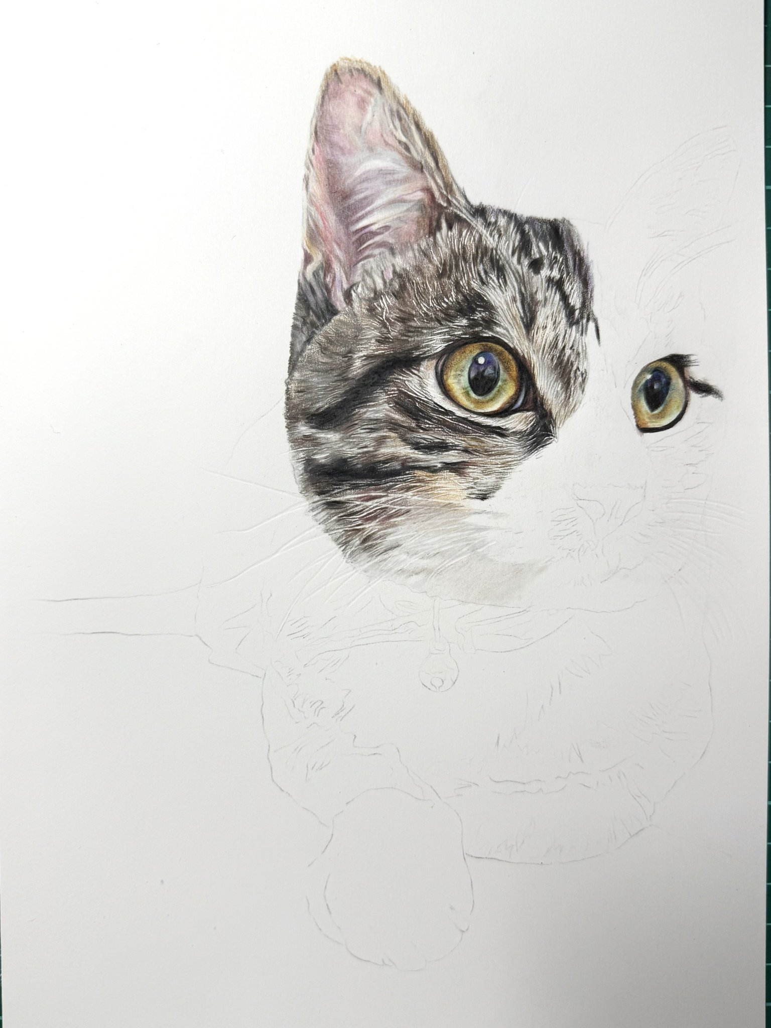 愛犬愛猫の似顔絵描きます。オーダー依頼用 色鉛筆画✭愛猫愛犬 色鉛筆