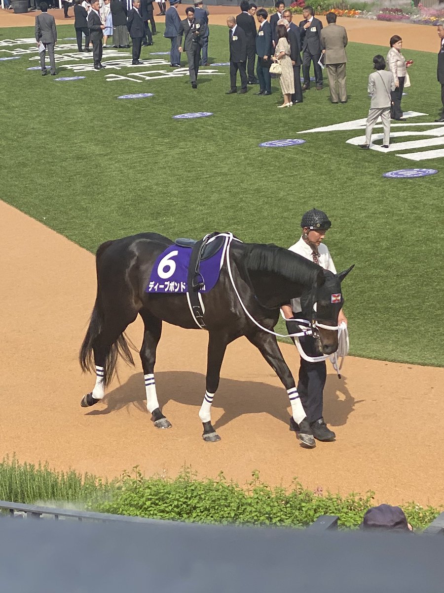 2178❣️ 瑪瑙 馬 唐馬 戦闘馬 唐三彩猿付馬 – Sancai Horse | 陶磁