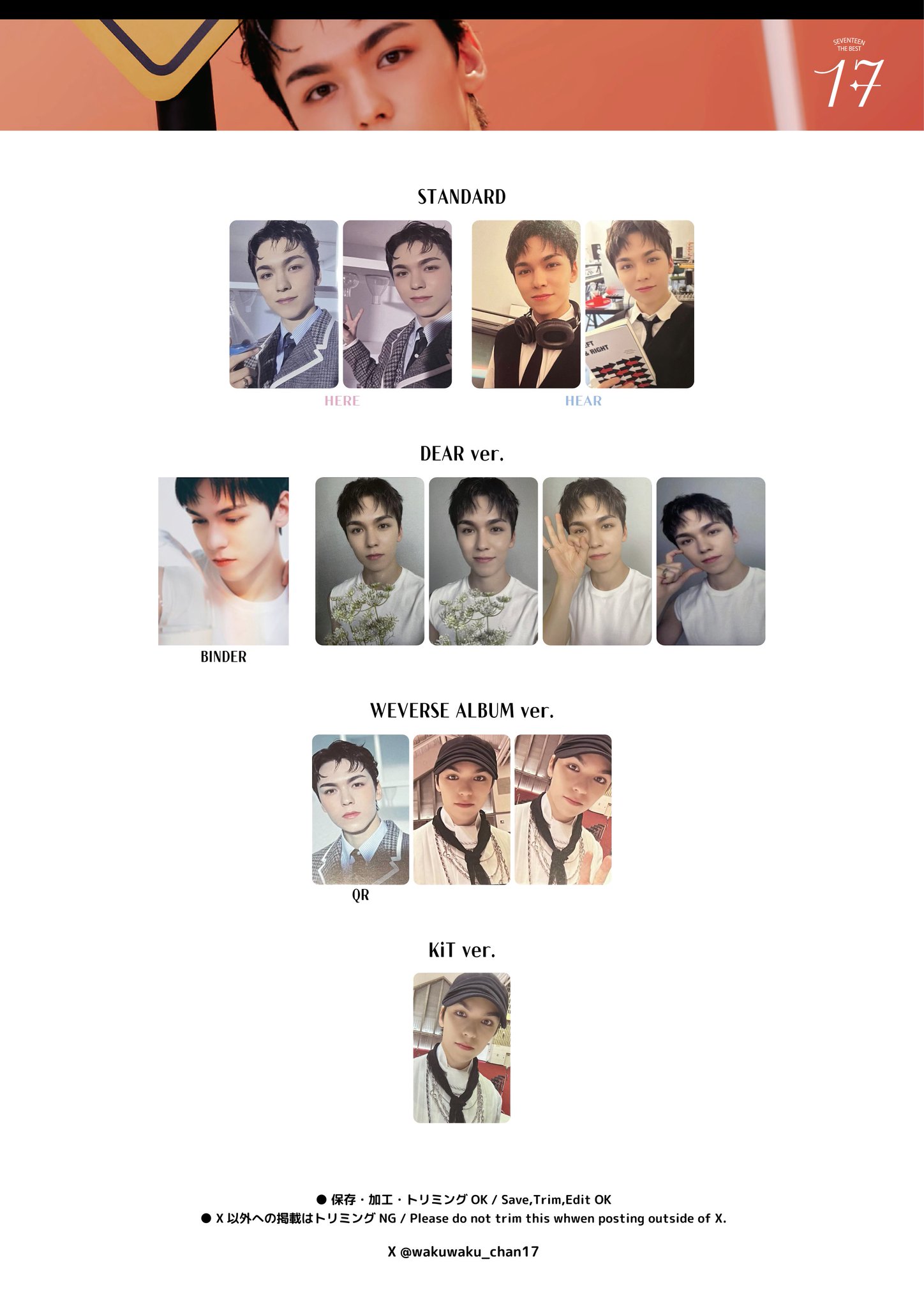 SEVENTEEN セブチ バーノン グッズ 300点セット まとめ売り 【公式通販】