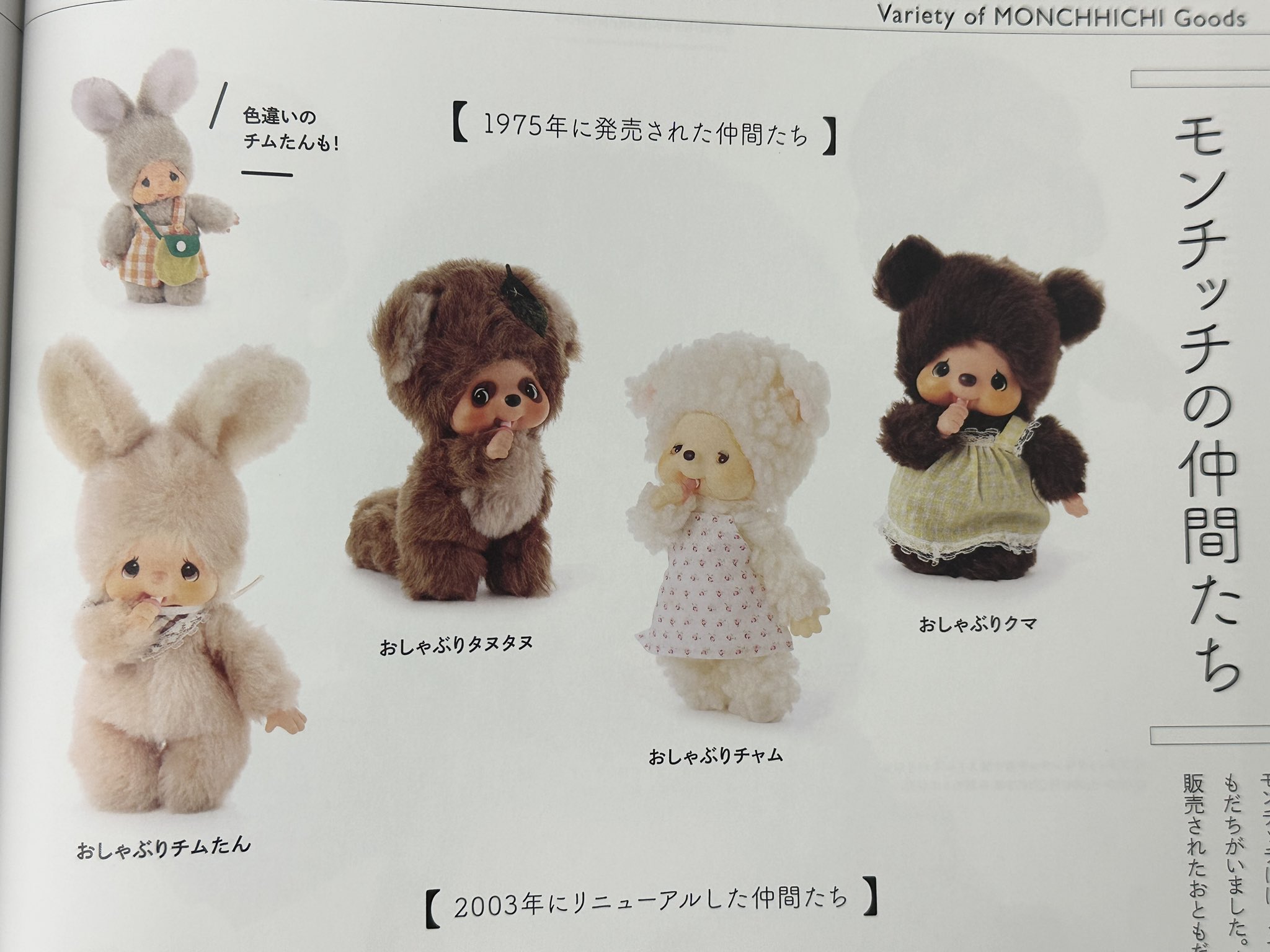 モンチッチ ベビチッチ ベビチッチのおともだち クマのマータン