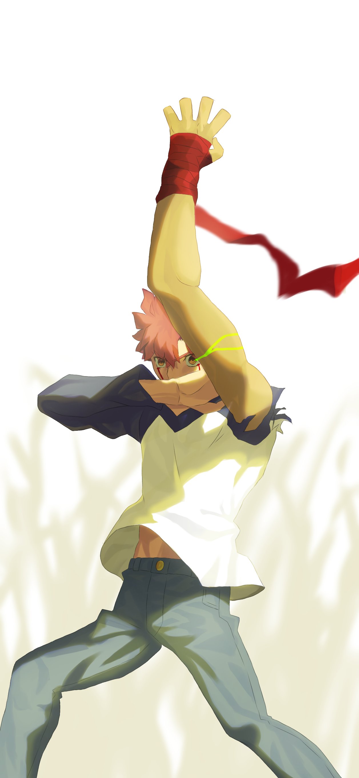 Fate 衛宮士郎 是、射殺す百頭 フィルム 特典 Fate フィルム 衛宮士郎