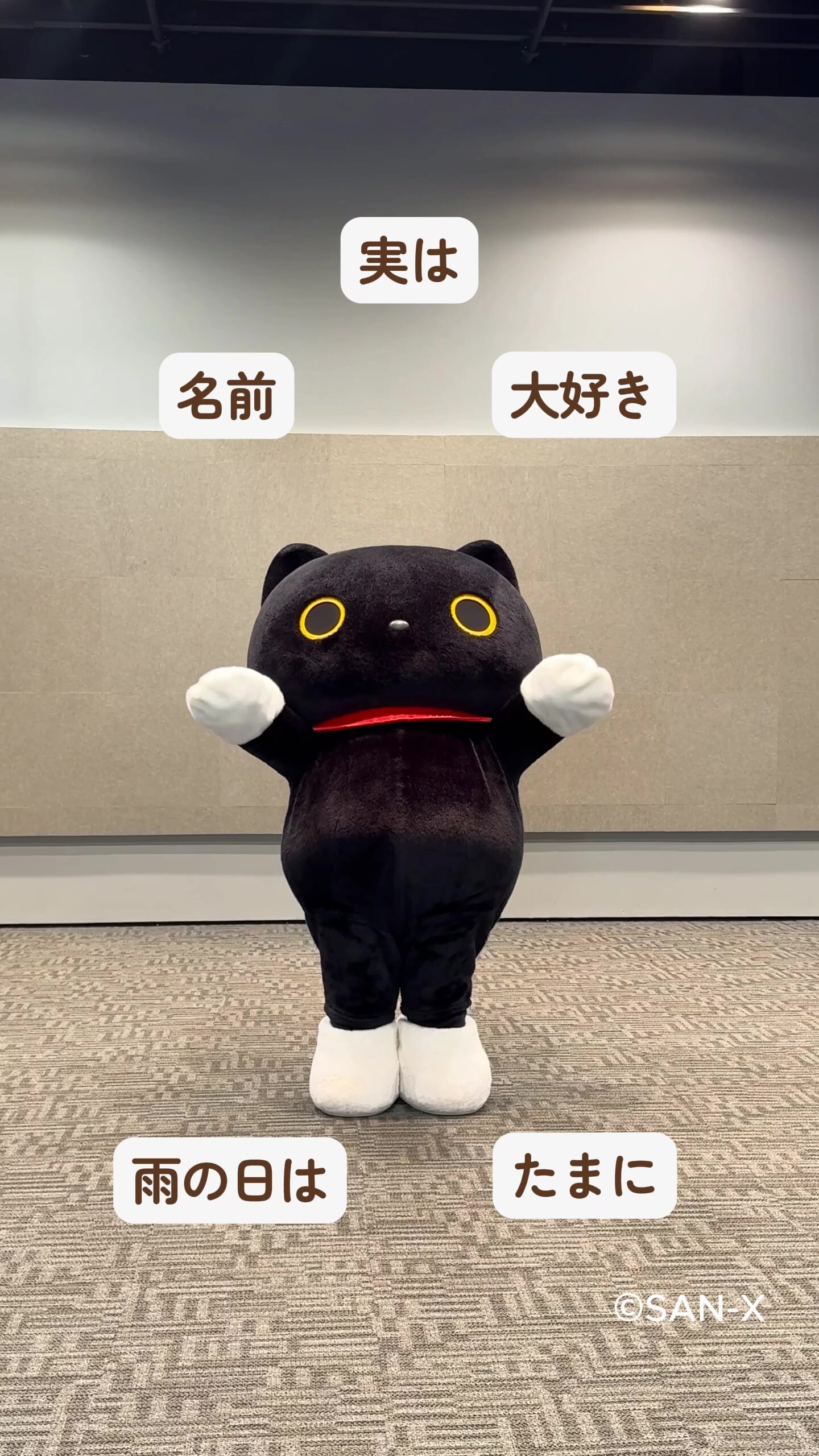 サンエックス 靴下にゃんこ 文具セット San-X サンエックス 靴下