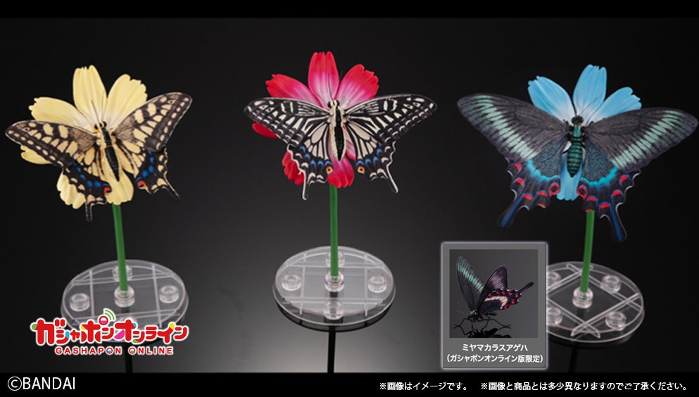 美しいアゲハチョウが #ガシャポンオンライン で受注開始