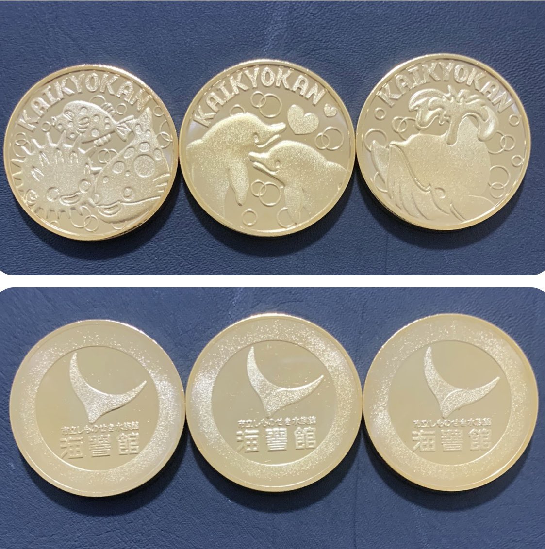 山口県下関市 市立しものせき水族館 海響館 3階休憩室 2024.6.29 有料