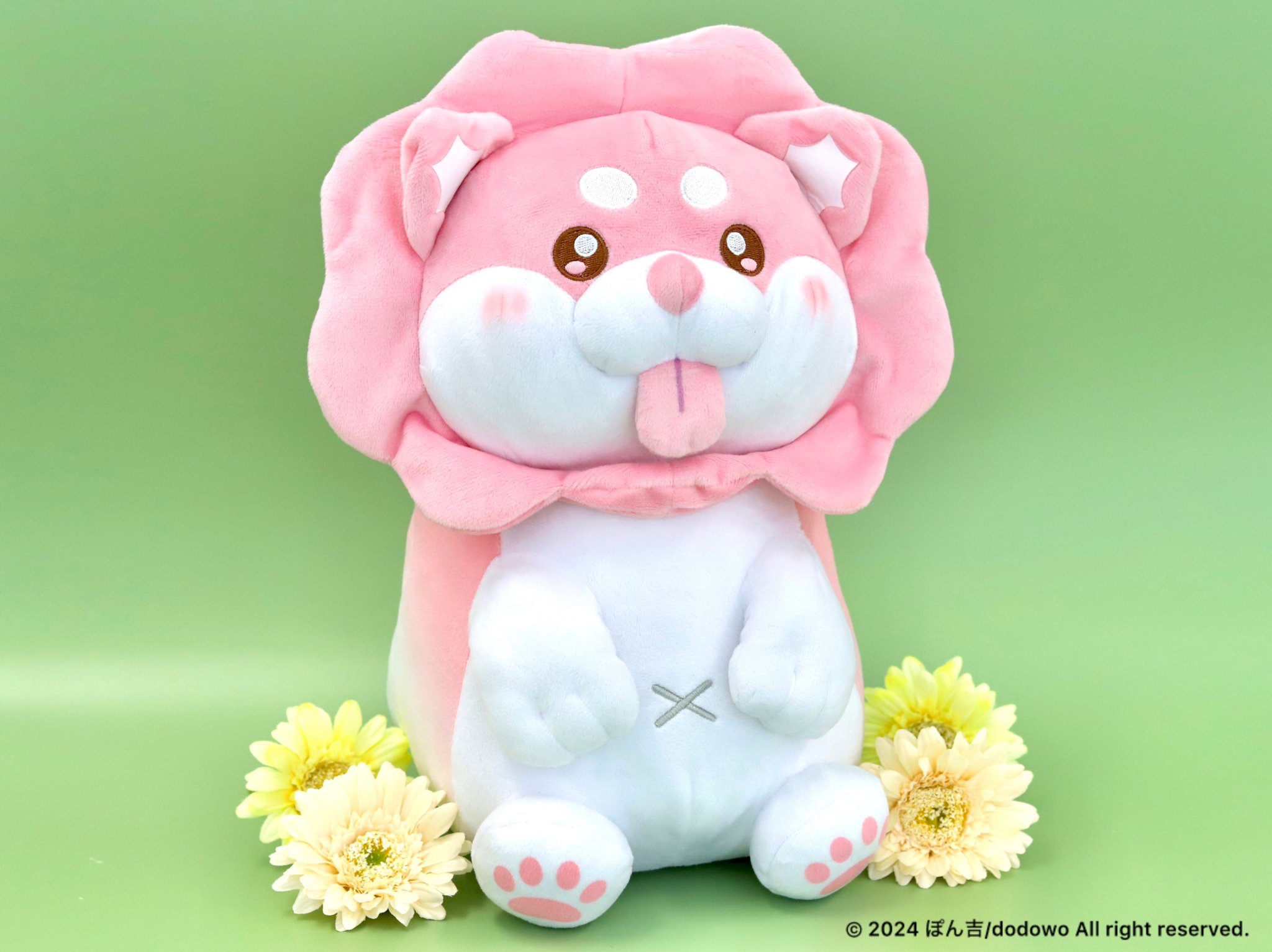 ぽんきち様 専用 公式 ひがぽん様専用 ぽんきち様専用 ぽんきち様専用