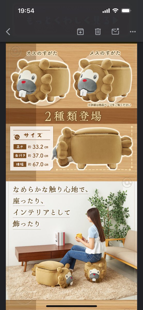 ポケモン ビッパ スツール オスのすがた 画像ギャラリー No.008