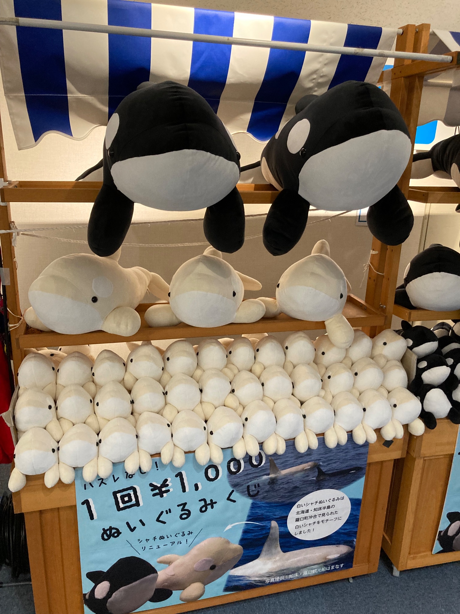 名古屋港 水族館 シャチ ぬいぐるみ