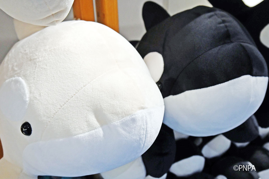 名古屋港水族館 くじ 特賞 シャチ ぬいぐるみ Amazon.co.jp: 名古屋港