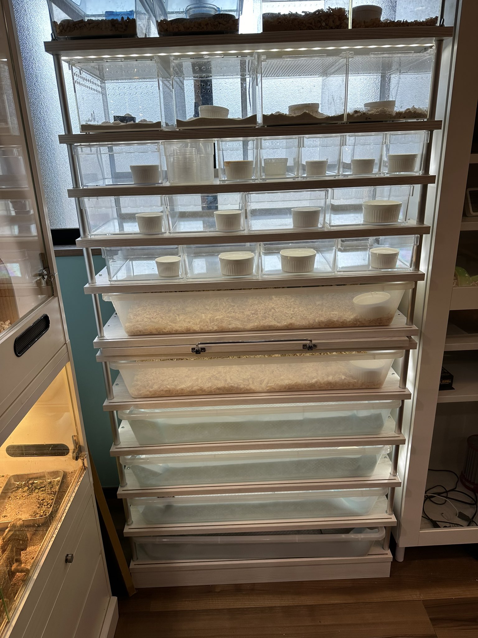 スネークラック用タブ ブリーダーラック用タブ 爬虫類ラック 爬虫類用