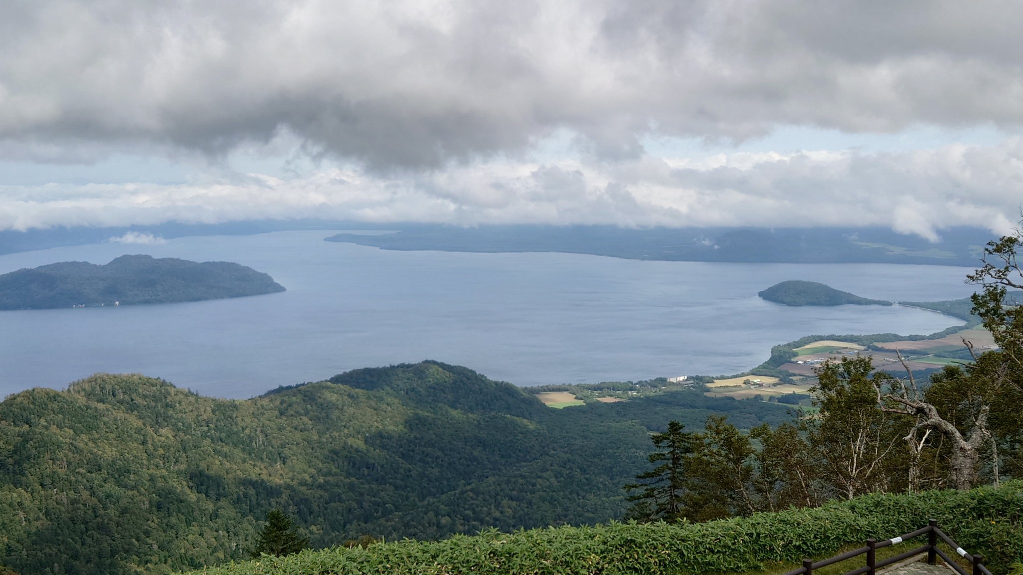 ノサップ岬 油絵 P8（455×333mm） 納沙布 岬 ノサップ岬 油絵 P8（455