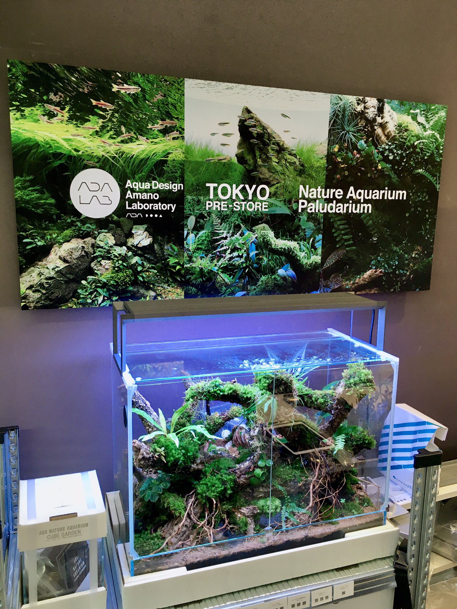 キューブガーデン 90 ADA 【公式通販】