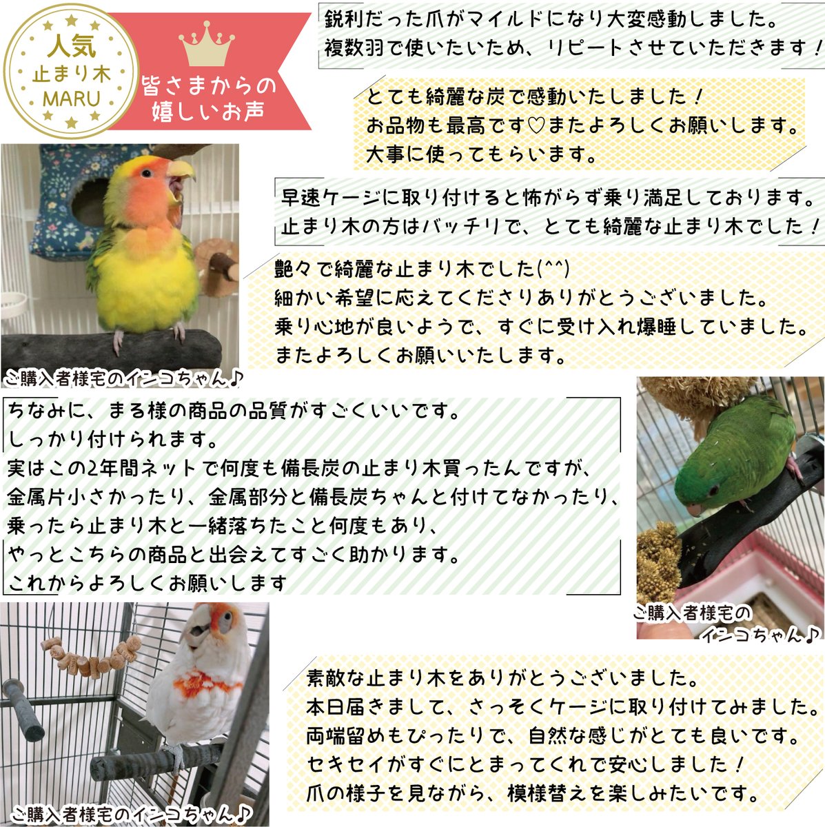 備長炭止まり木⭐️止まり木⭐️パーチ⭐️専用です♪♪(((o(*゜▽゜