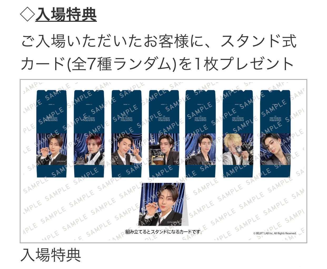 ENHYPEN】ニキ 直筆サイン入り ポスター WTL プレステ特典 【公式通販】