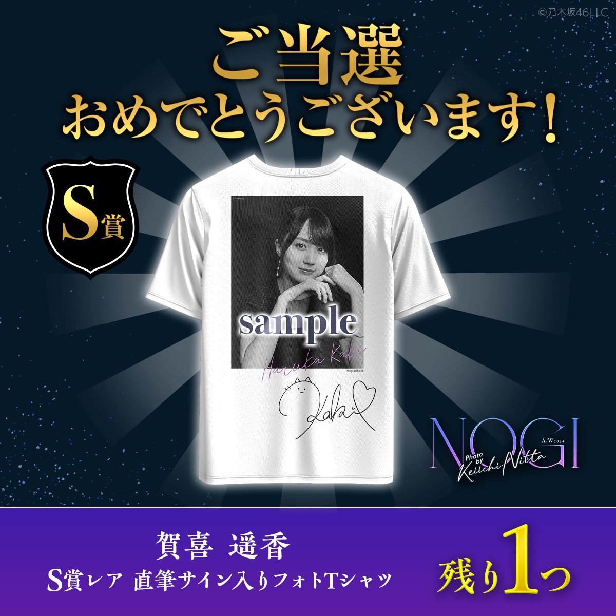 乃木坂46 S賞 冨里奈央 のぎめくり NOGIめくり BIGアクリルスタンド