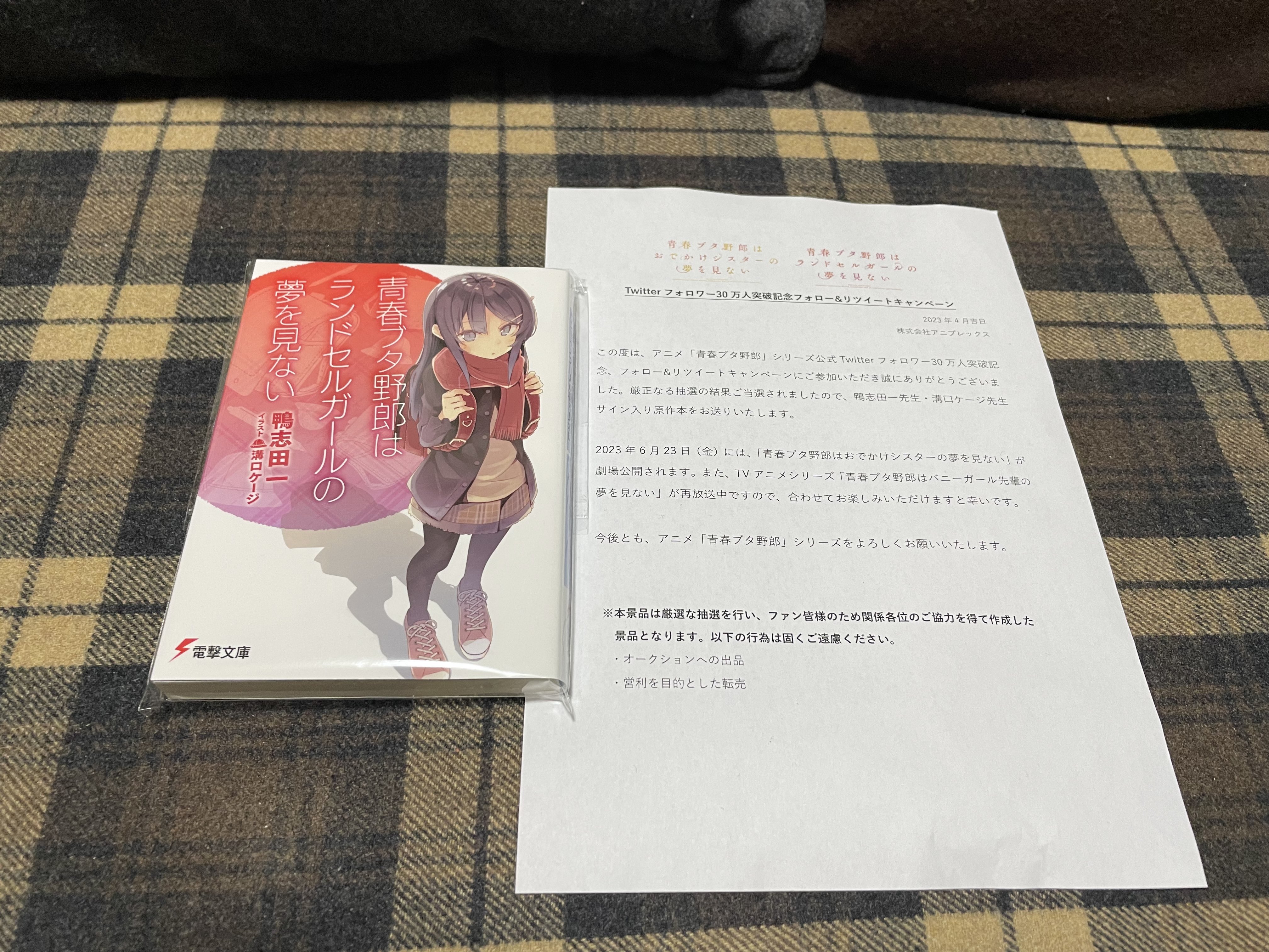 限定】青ブタ直筆サイン色紙 鴨志田一 溝口ケージ 青春ブタ野郎は