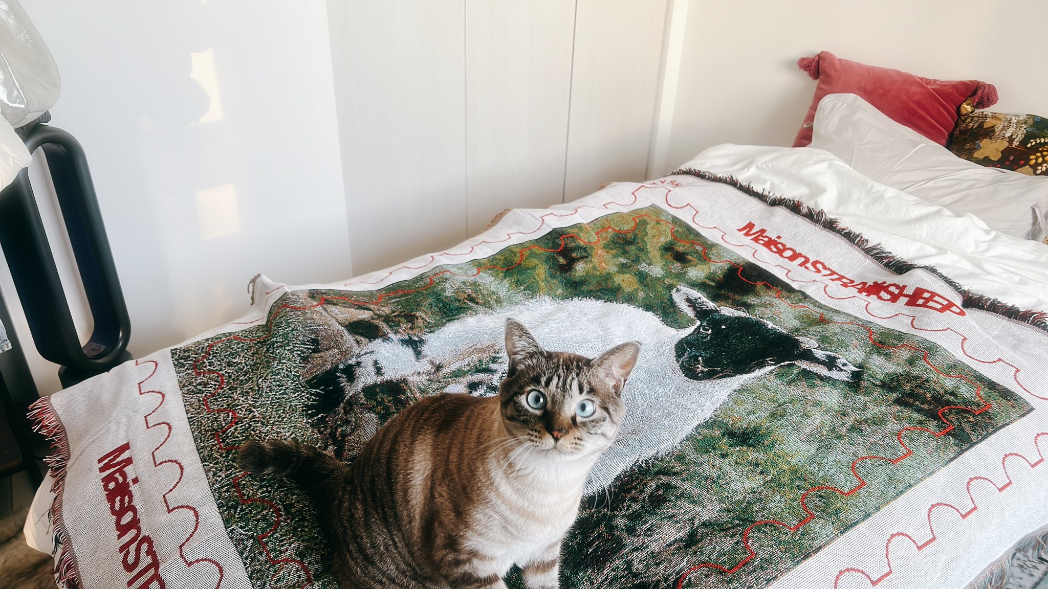 メゾン・ストレイシープ STRAYSHEEP RUG Maison stray sheep rug