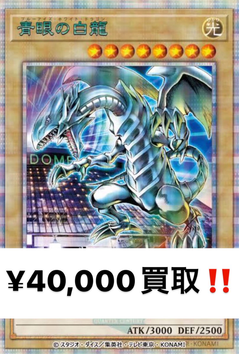 連番 psa10 ブラックマジシャン 青眼の白龍 アーコレ 絵違い 25th
