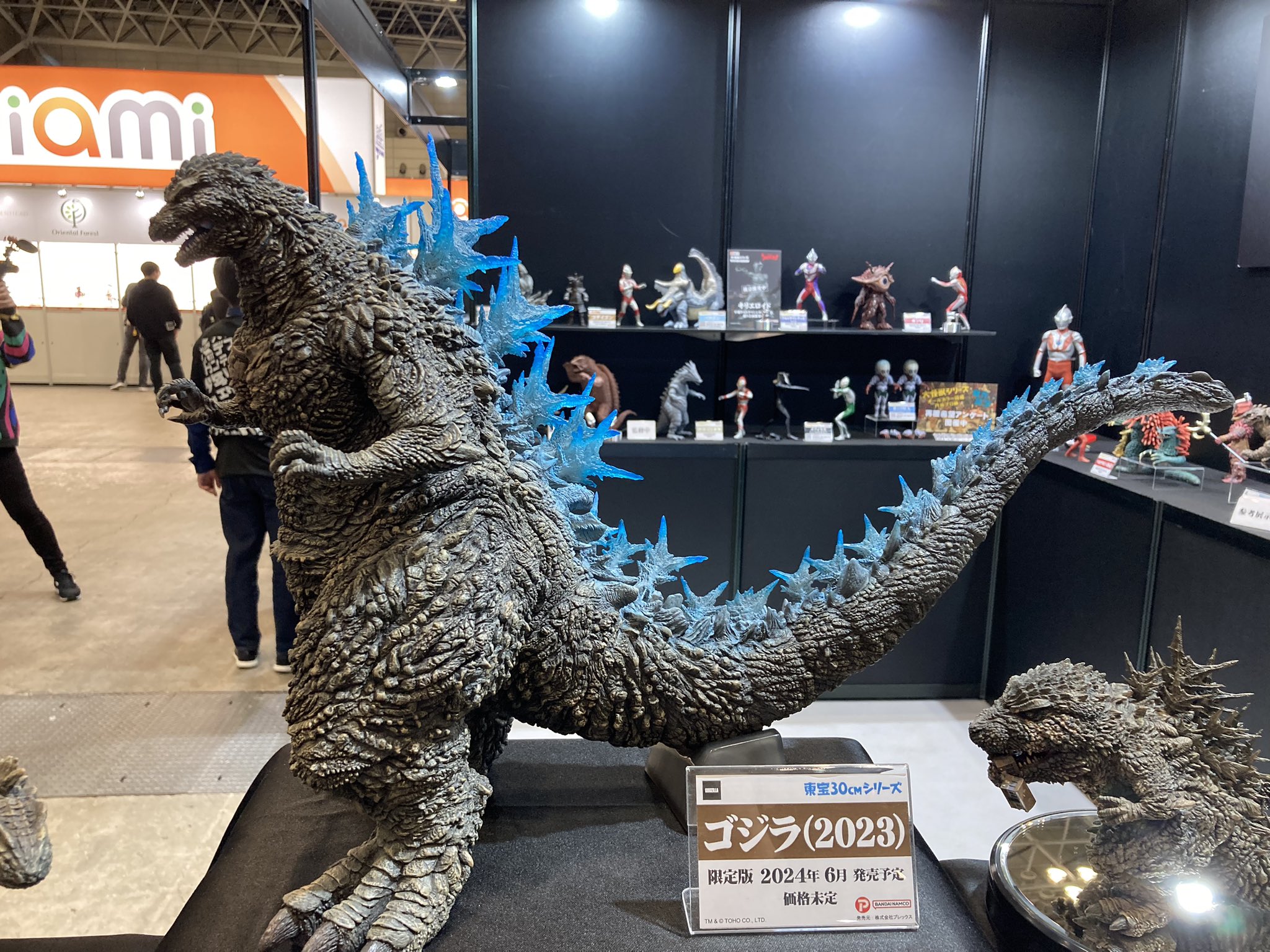 東宝30cmシリーズ 少年リック限定 ゴジラ・ザ・ライド アウトレット