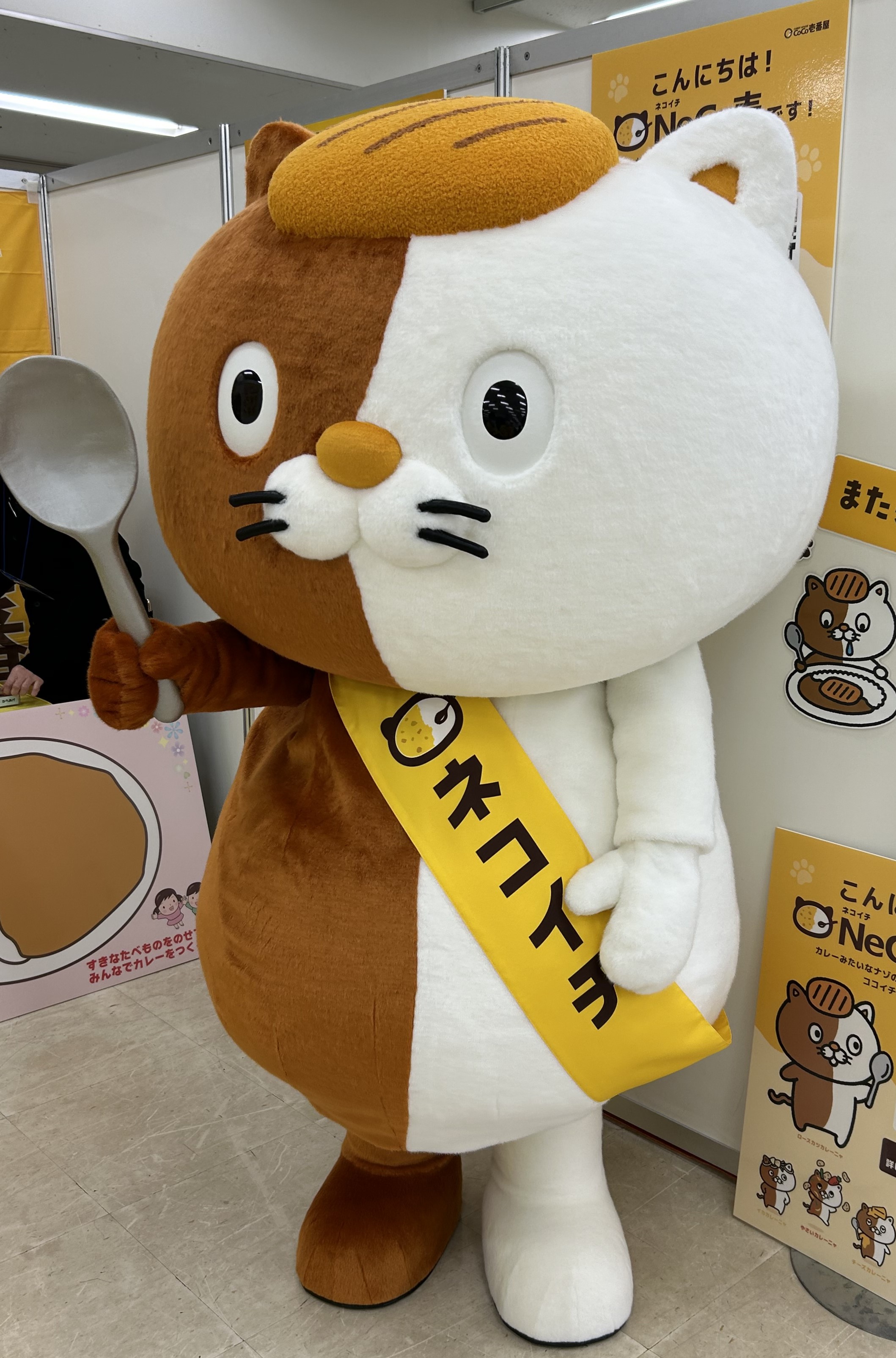 定番，新作登場】 ネコイチ NeCo壱 ぬいぐるみ チーズカレーニャ CoCo