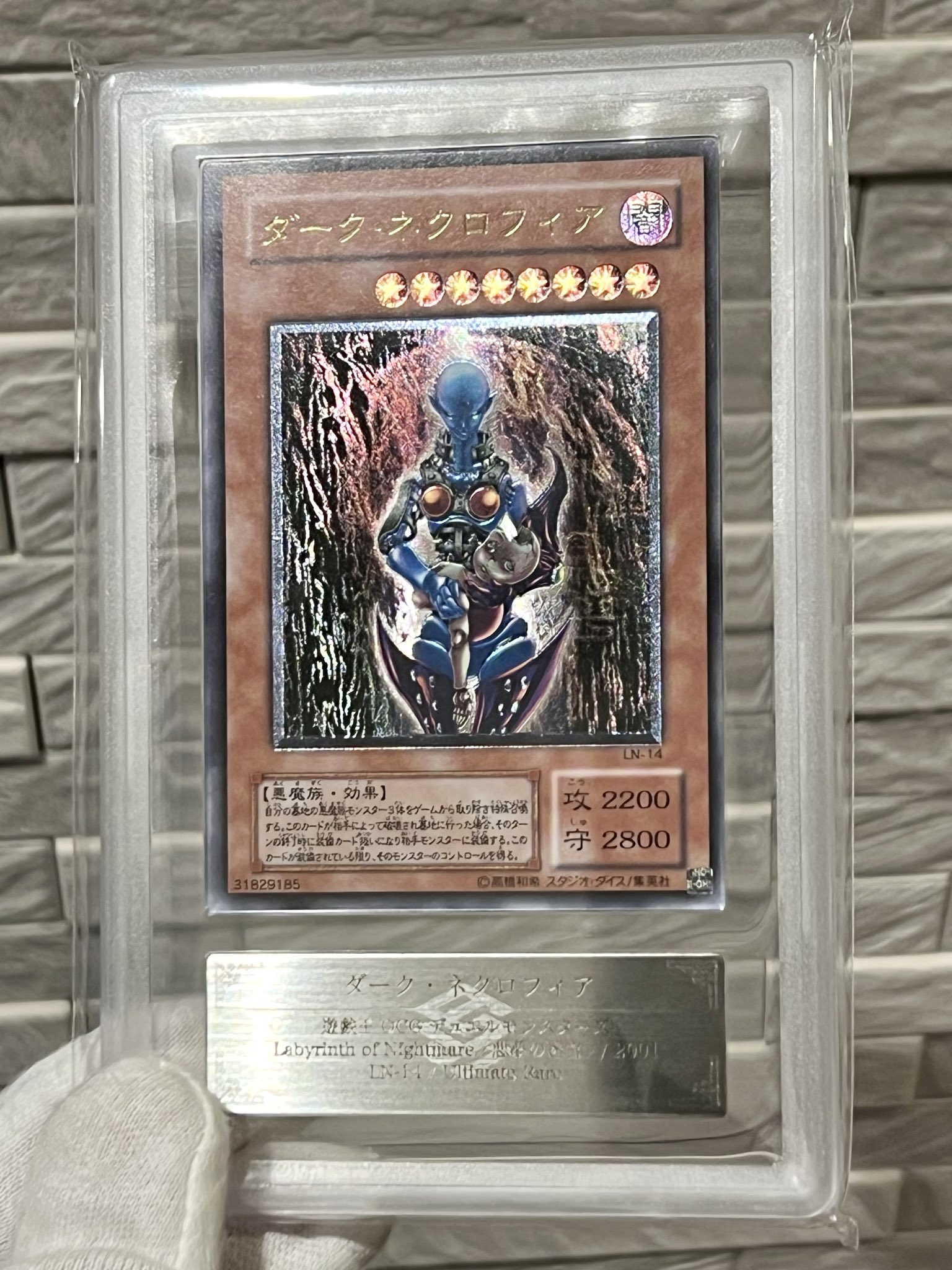 ダーク・ネクロフィア レリーフ 最新 アルティメットレア PSA8 ダーク