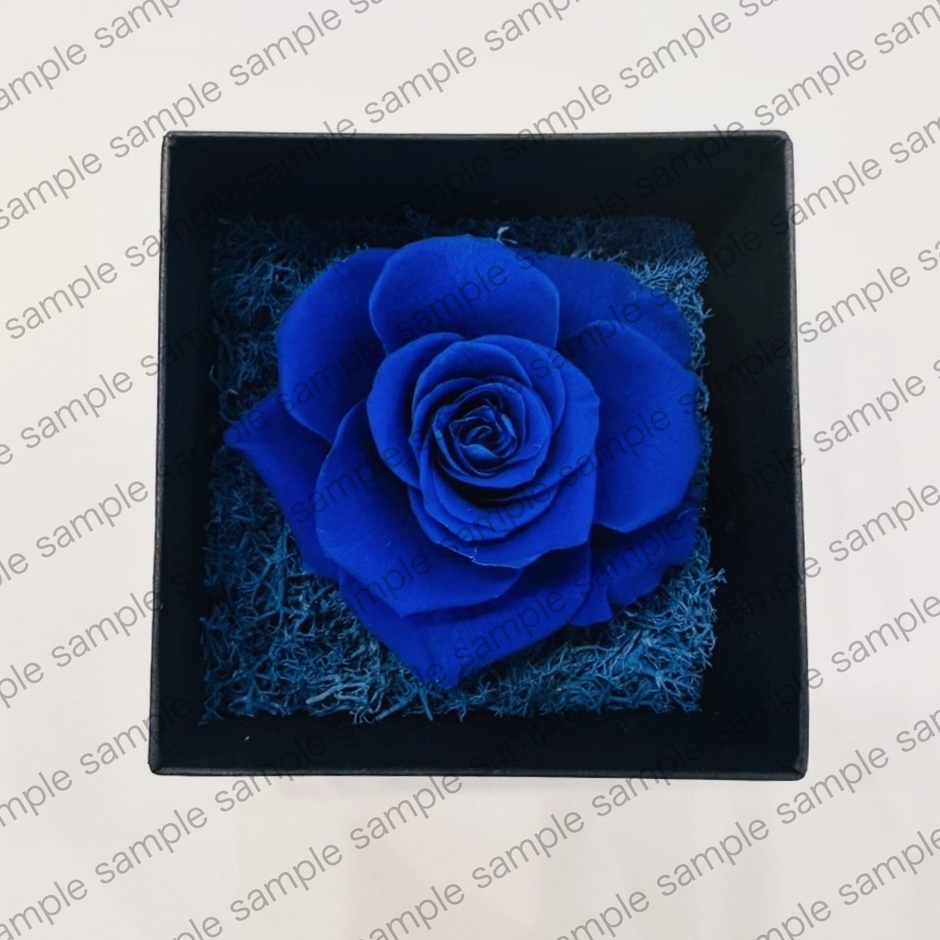 Ado カムパネルラ VIP特典 ブローチ Ado カムパネルラ VIP特典