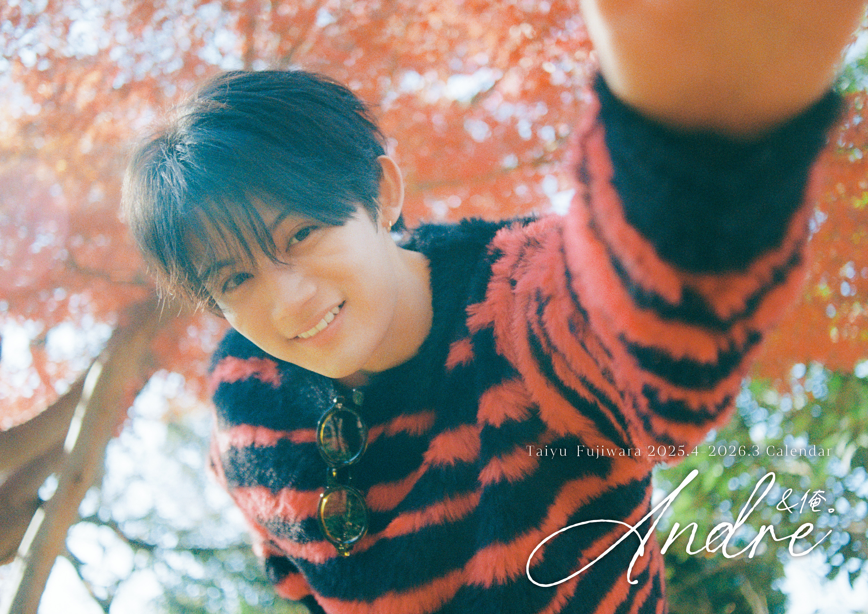 藤原大祐 クリアファイル 生写真 まとめ売り 藤原大祐 クリアファイル