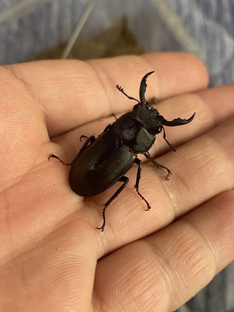 まっちゃん (@mentai1969saga) / Posts / X