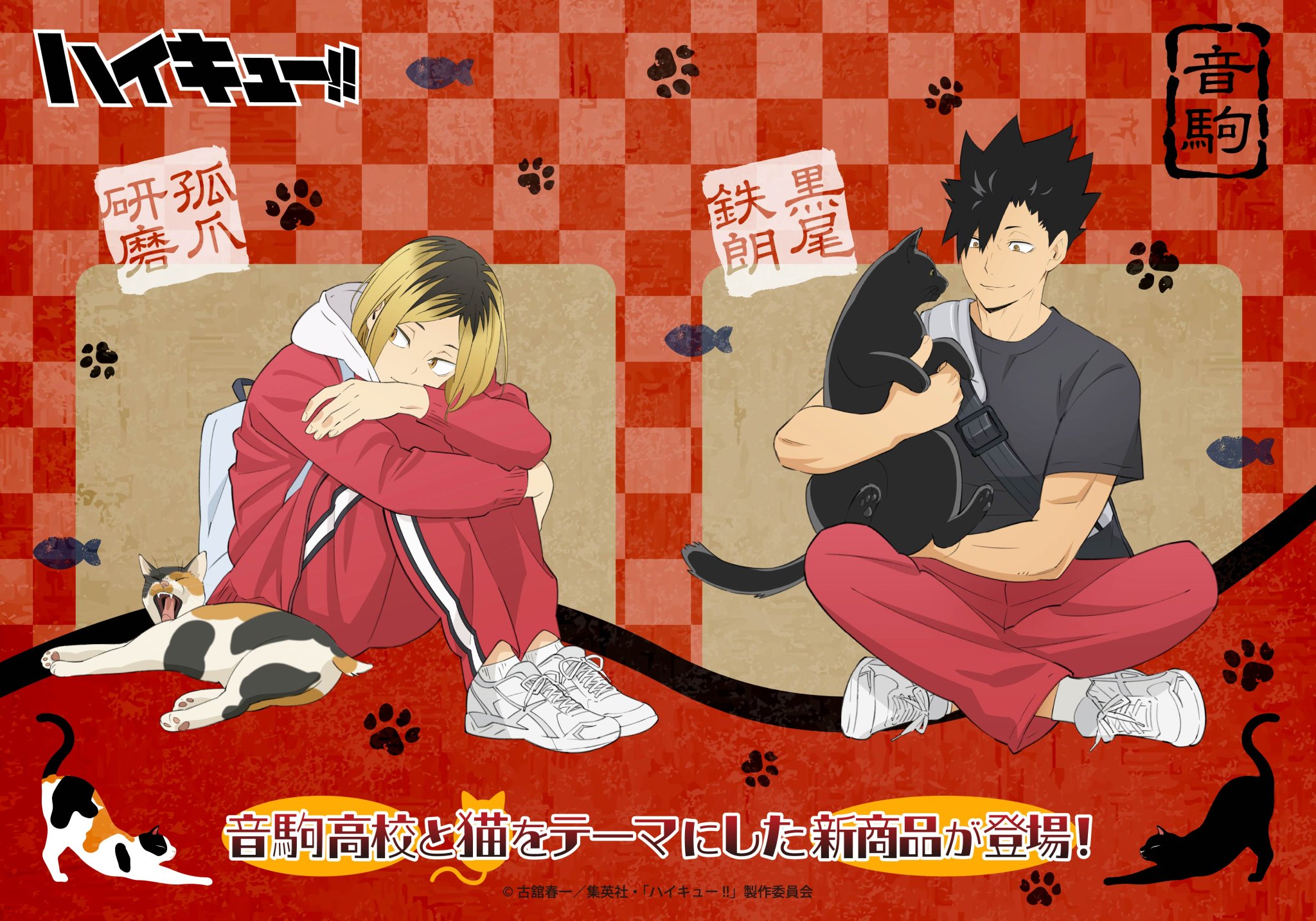 ハイキュー!! ハイキュー!! 音駒 黒尾 研磨 グッズまとめ売り 缶バッジ