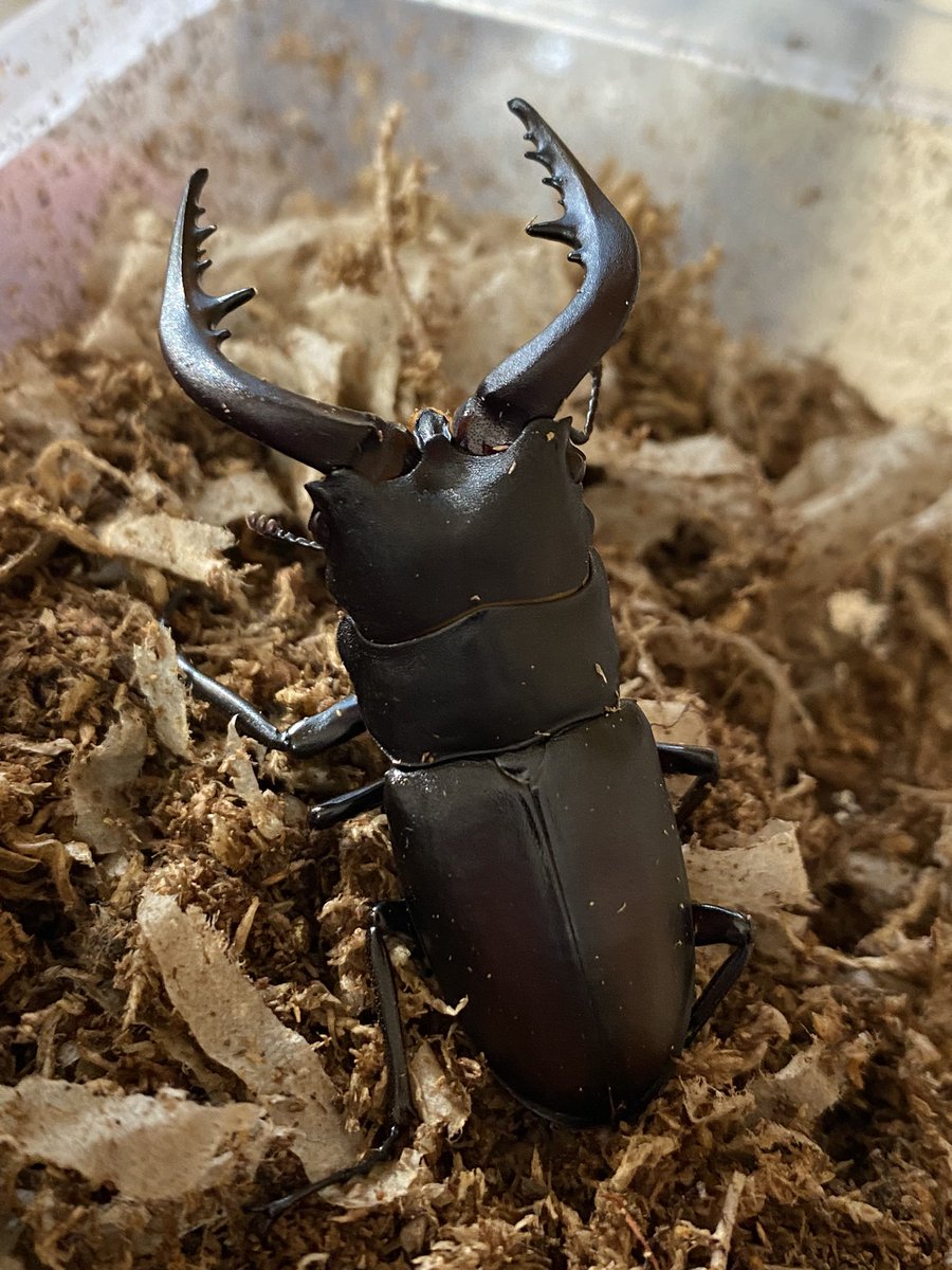 まっちゃん (@mentai1969saga) / Posts / X